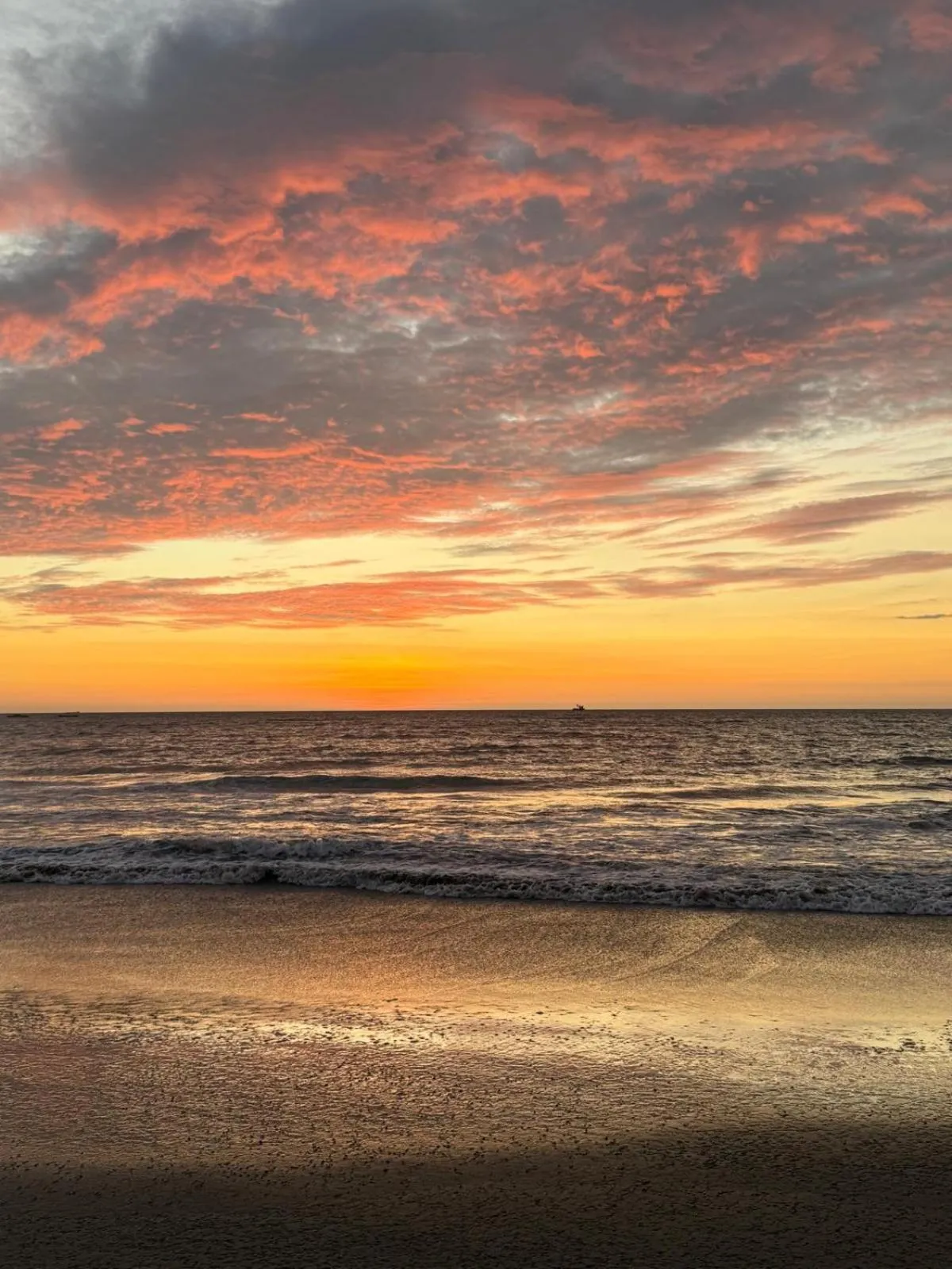 Beach in Hotel Puerto Antiguo