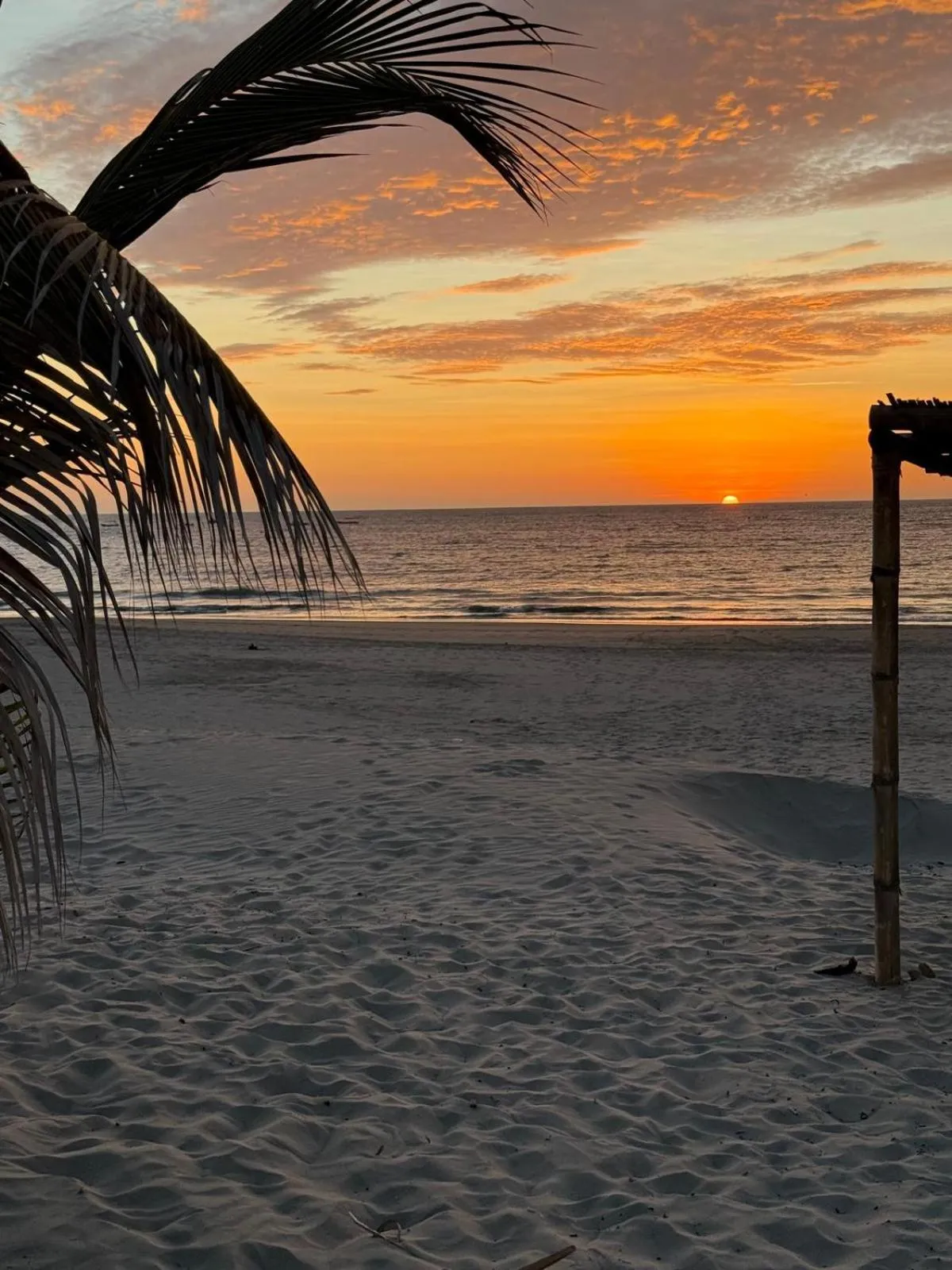 Beach in Hotel Puerto Antiguo