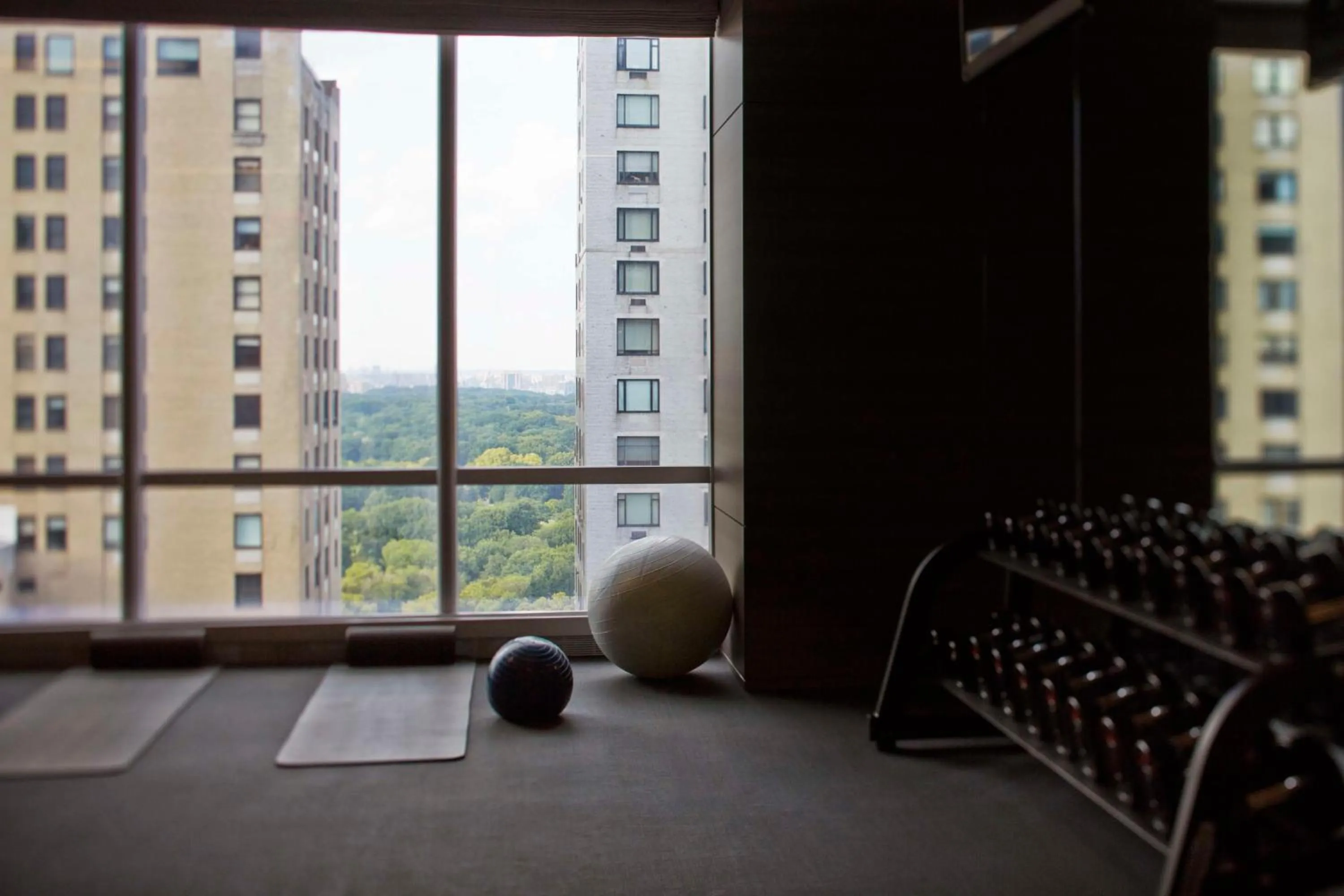 Fitness centre/facilities in Park Hyatt New York