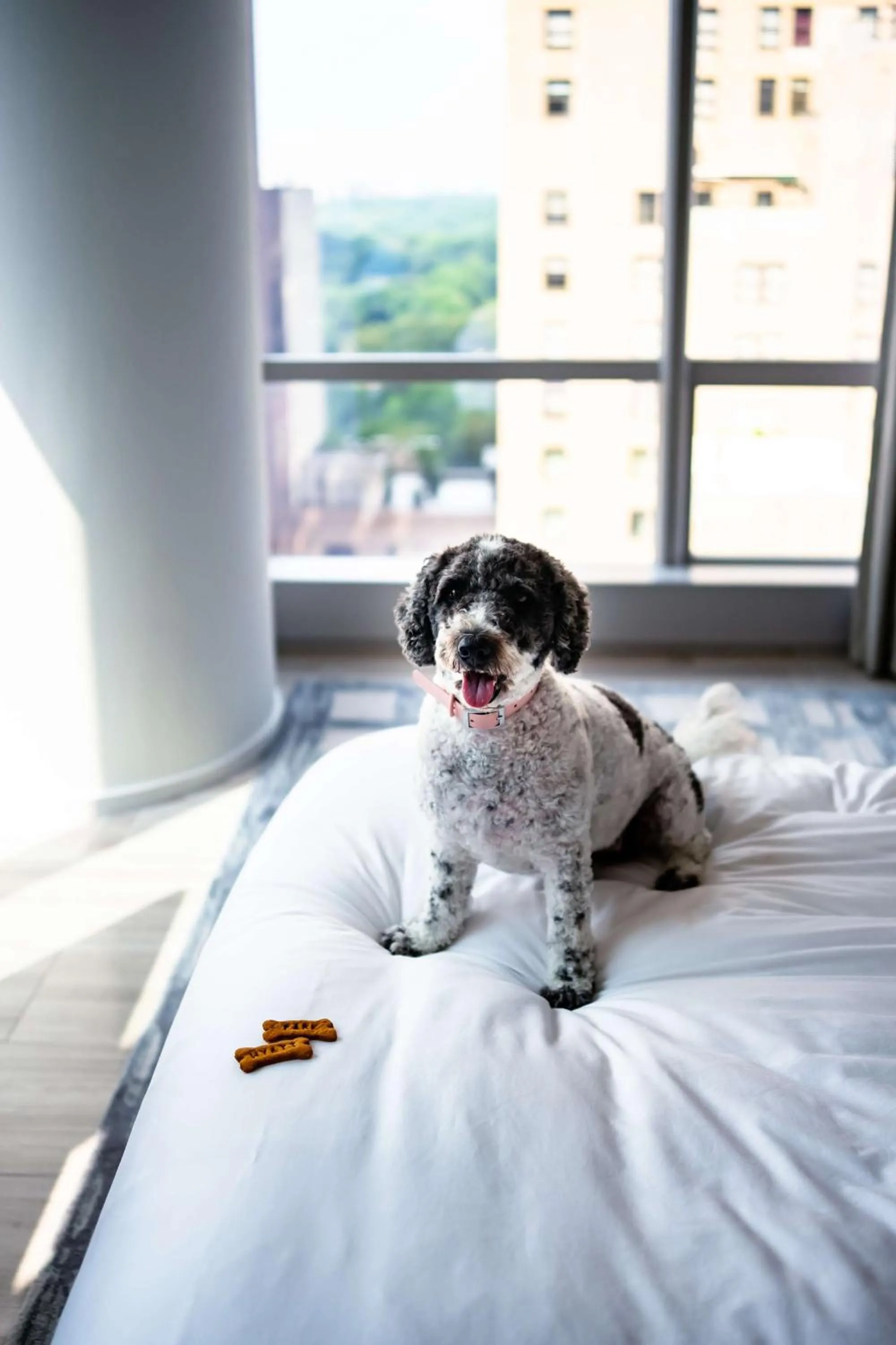 Bedroom in Park Hyatt New York
