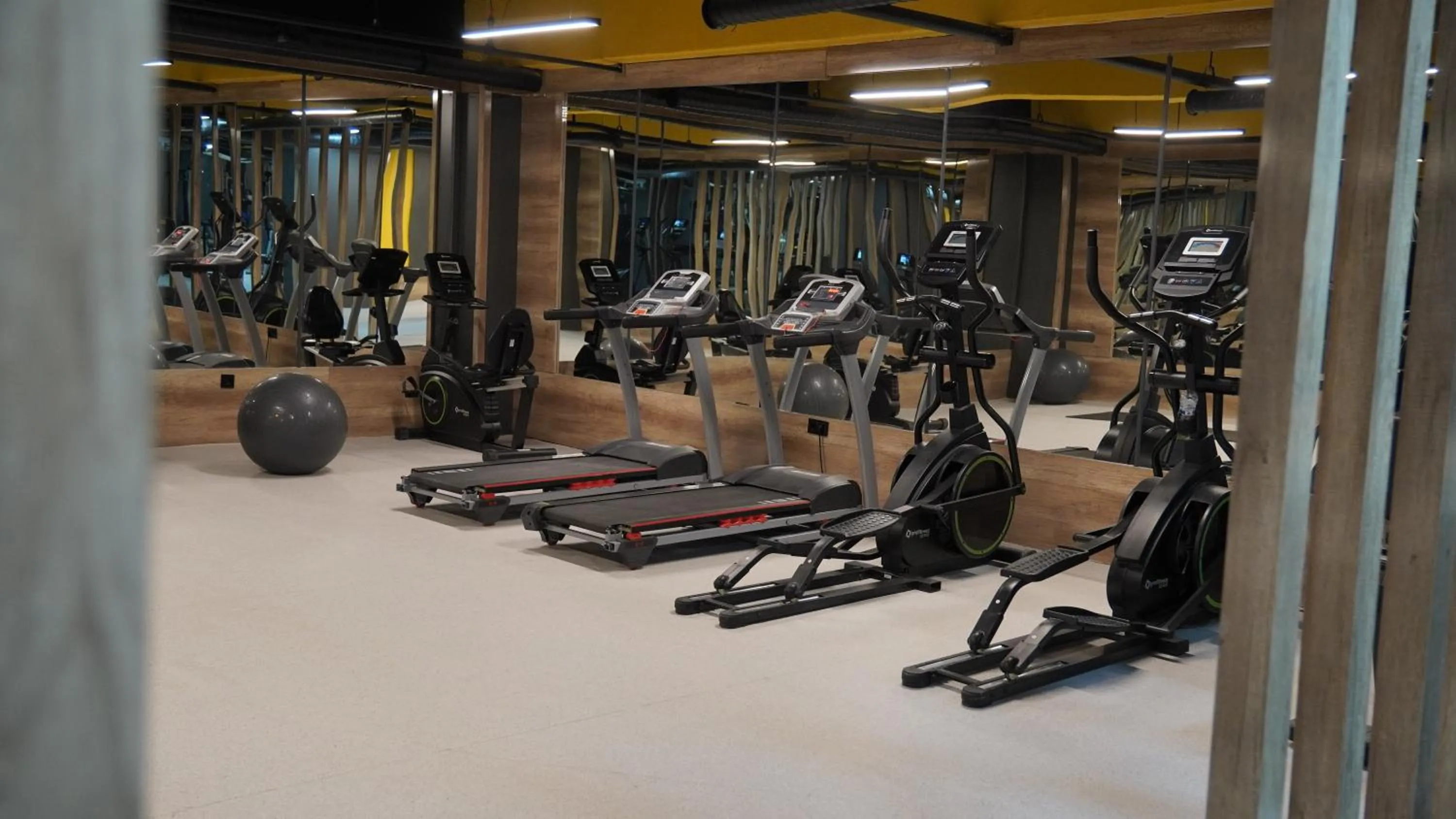 Fitness centre/facilities in Ramada Plaza By Wyndham Batman
