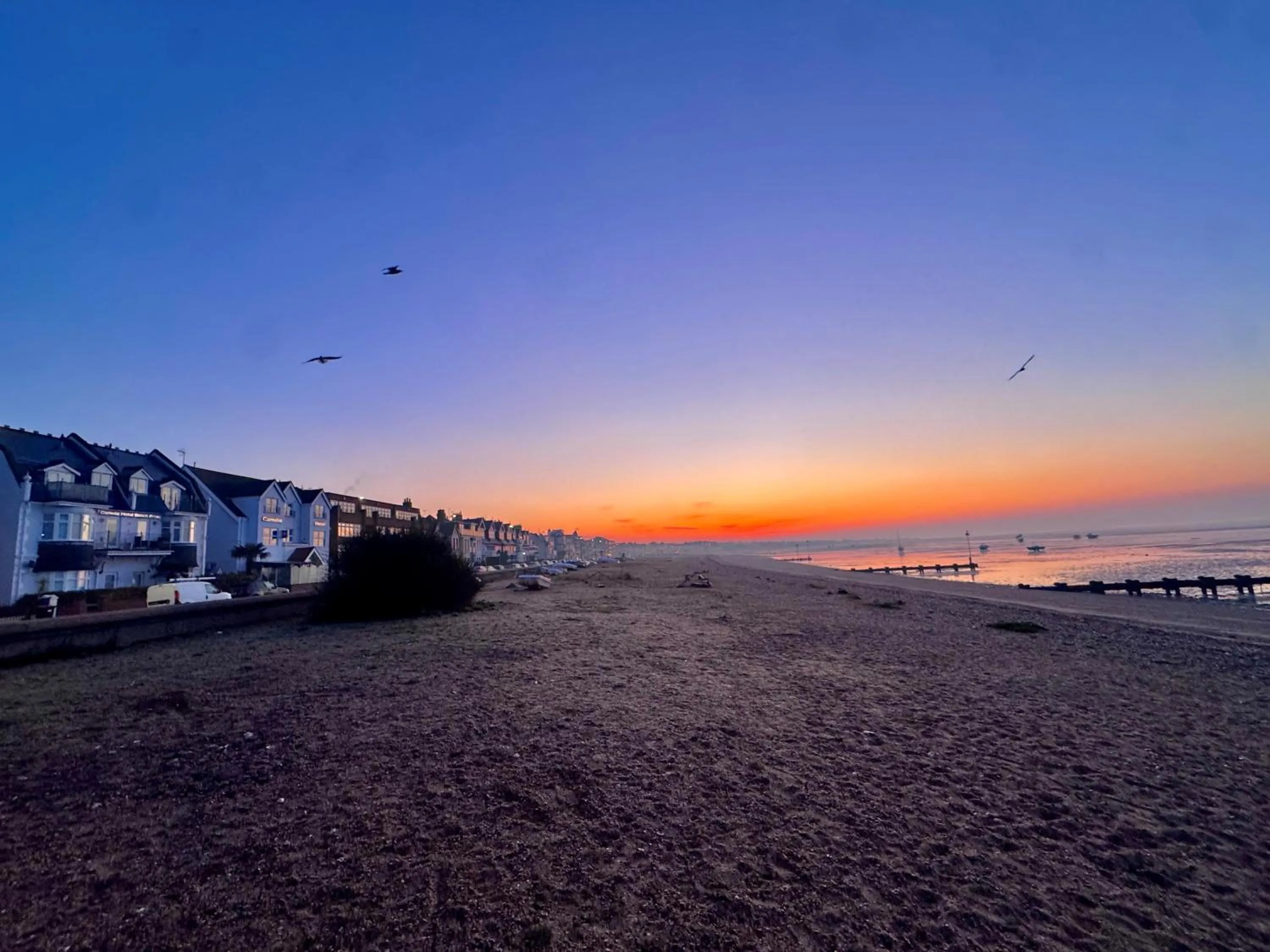 Beach in Camelia Hotel
