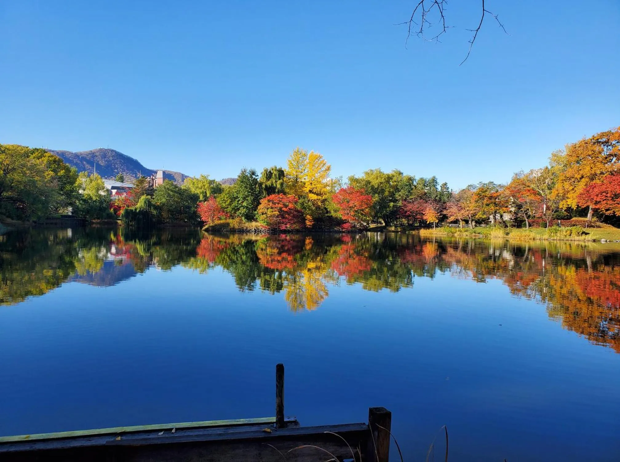 Nearby landmark in Hotel Lifort Sapporo