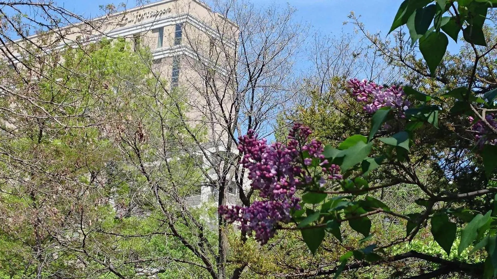 Off site in Hotel Lifort Sapporo