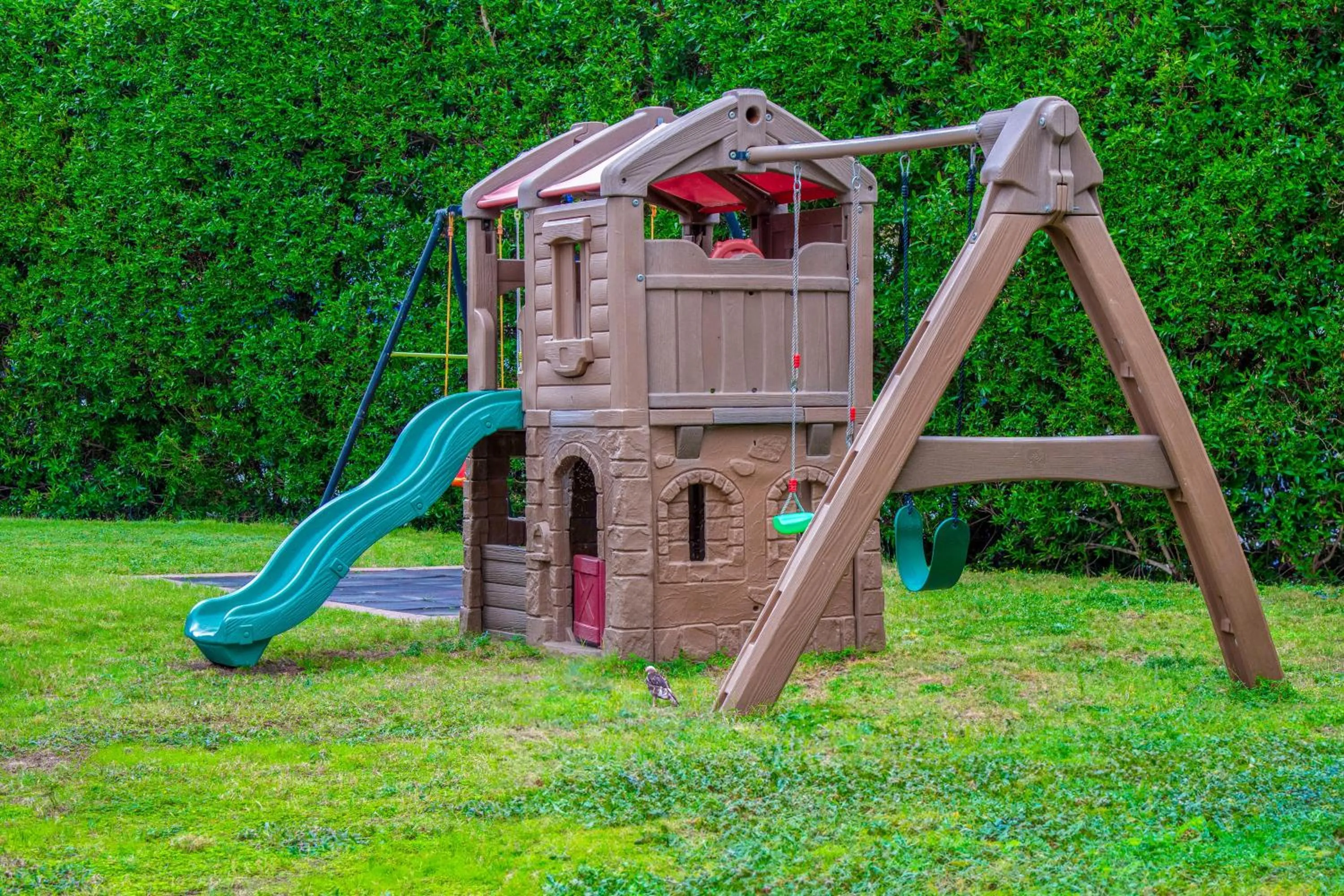 Garden in City Tower Hotel