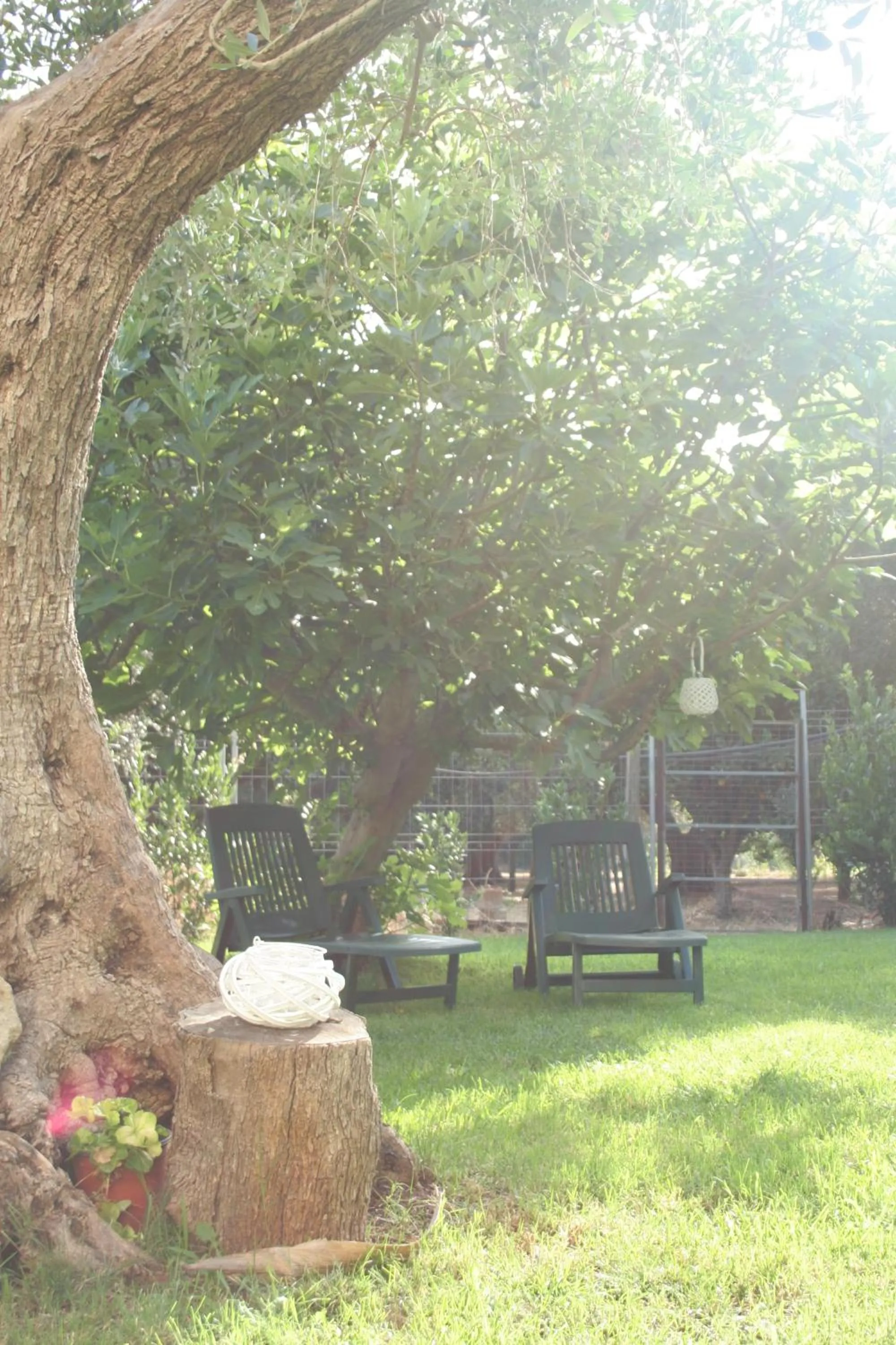 Garden in Casa di Marco