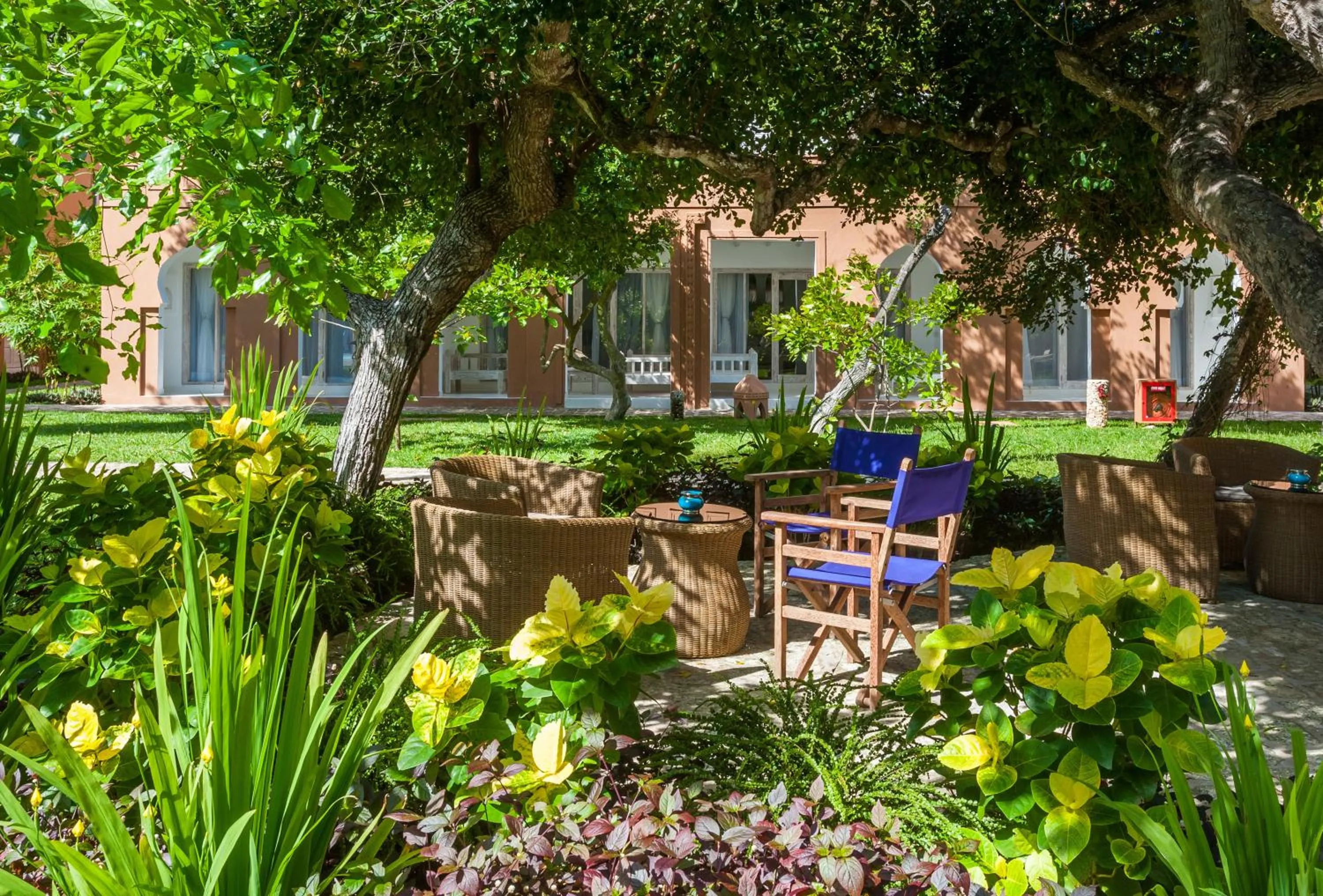 Garden in Medina Palms
