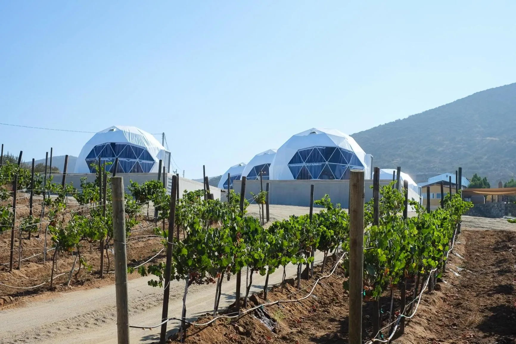 Garden view in Cúpulas Del Valle by Villa De La Rosa