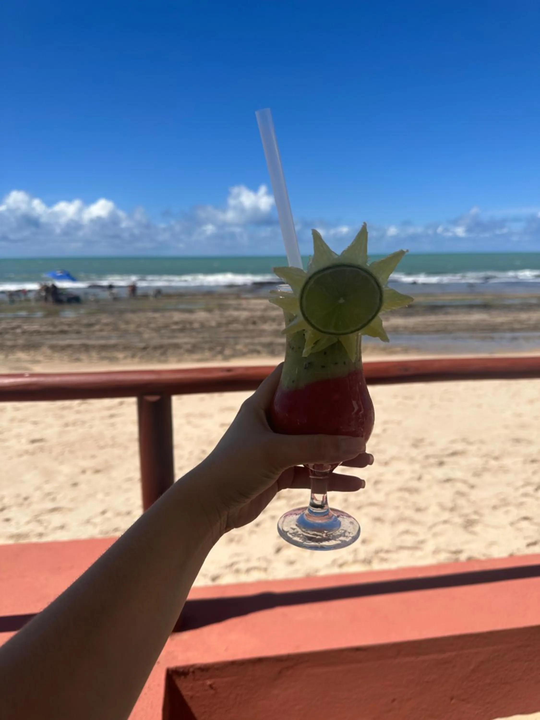 Flat no UNICO HOTEL BEIRA MAR Pipas Bay 217