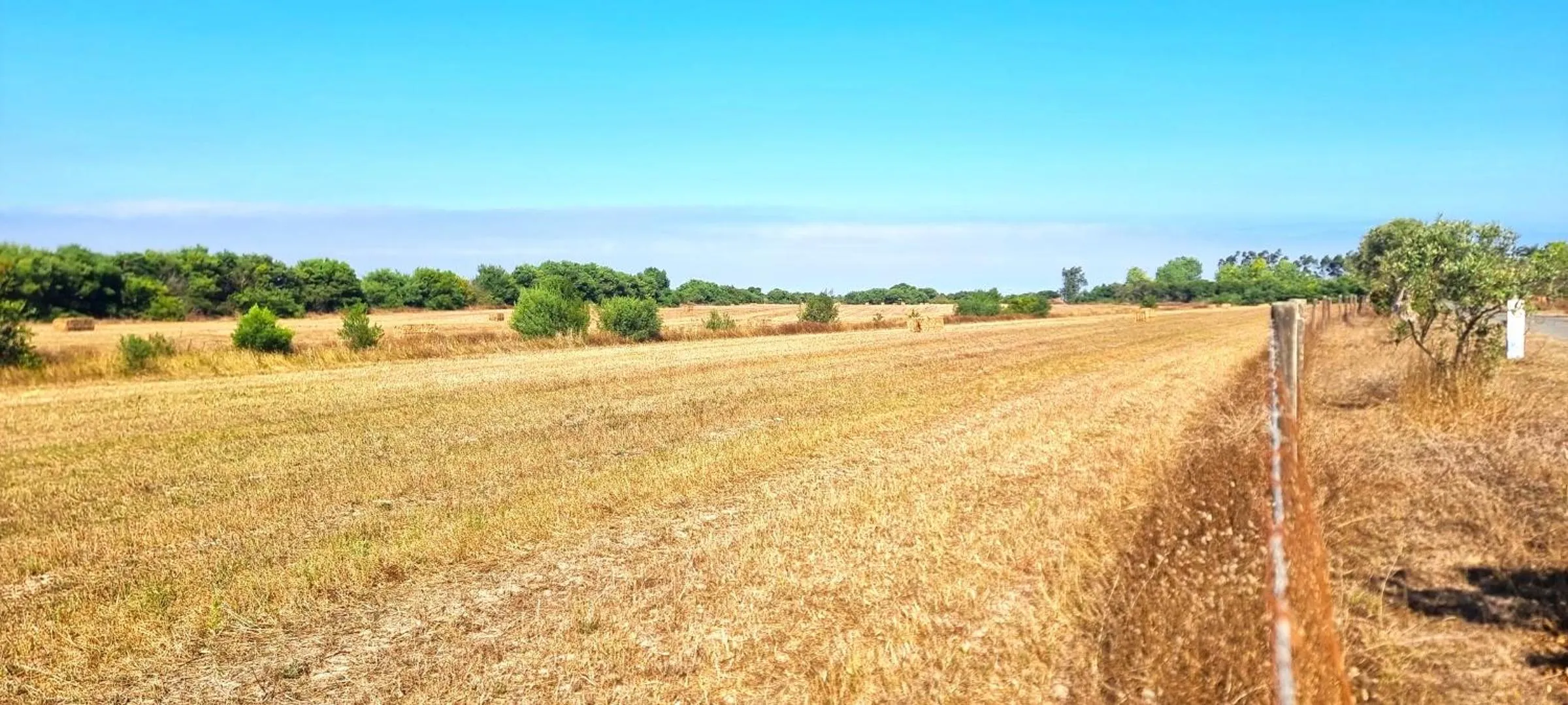 View (from property/room) in Herdade Moita Mar - Country & Sea