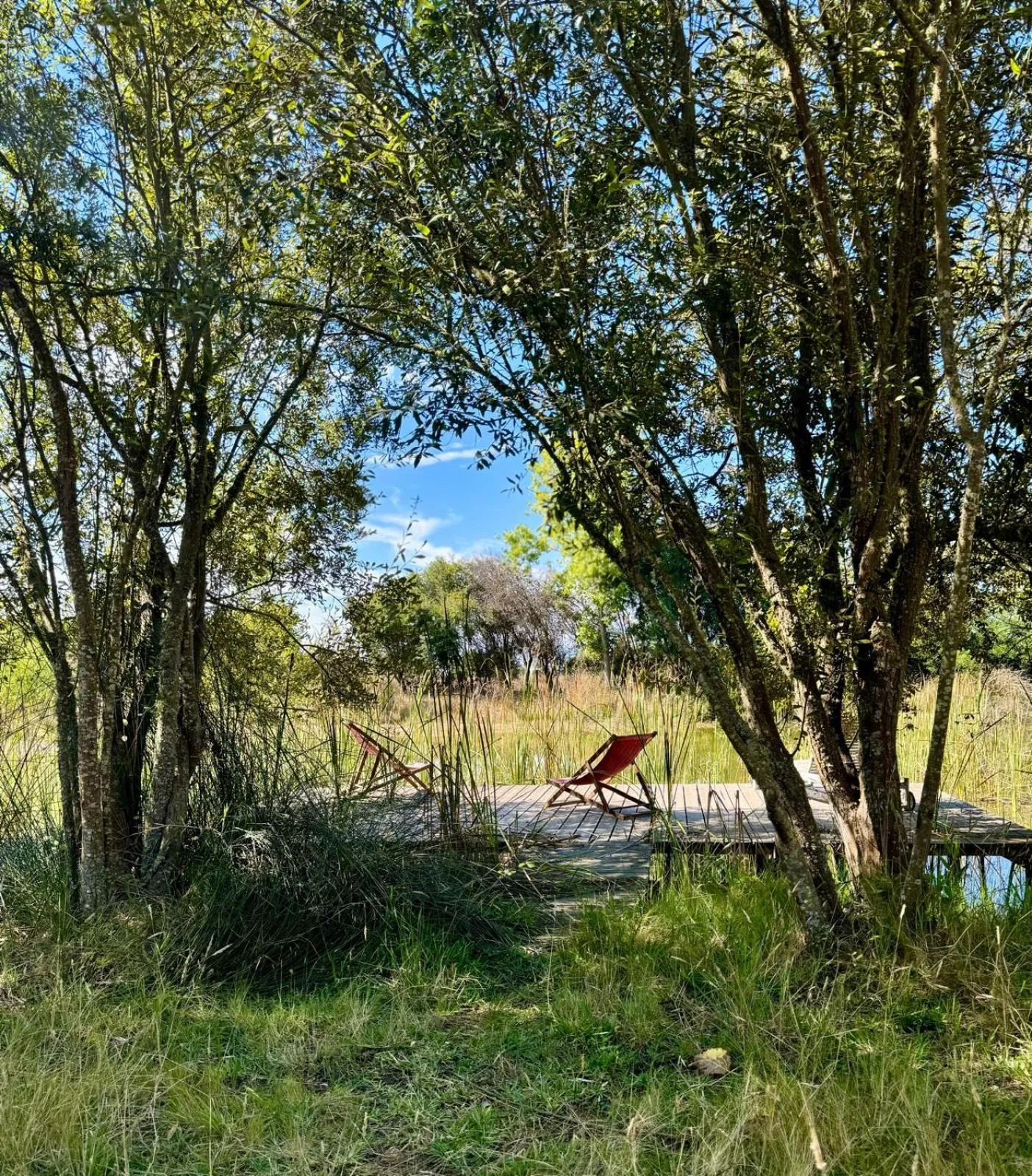 Garden in Herdade Moita Mar - Country & Sea