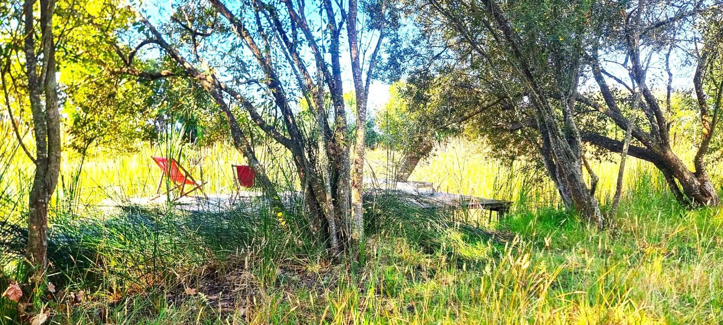 Natural landscape in Herdade Moita Mar - Country & Sea