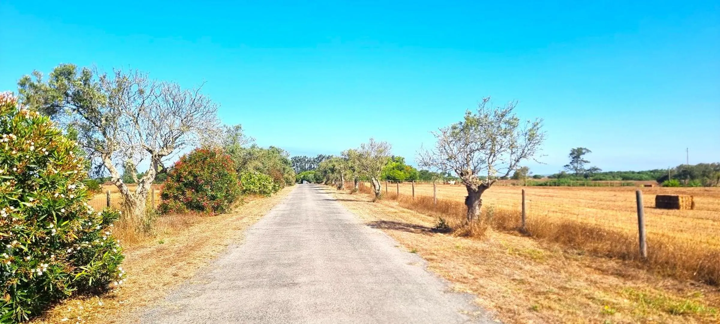 View (from property/room) in Herdade Moita Mar - Country & Sea