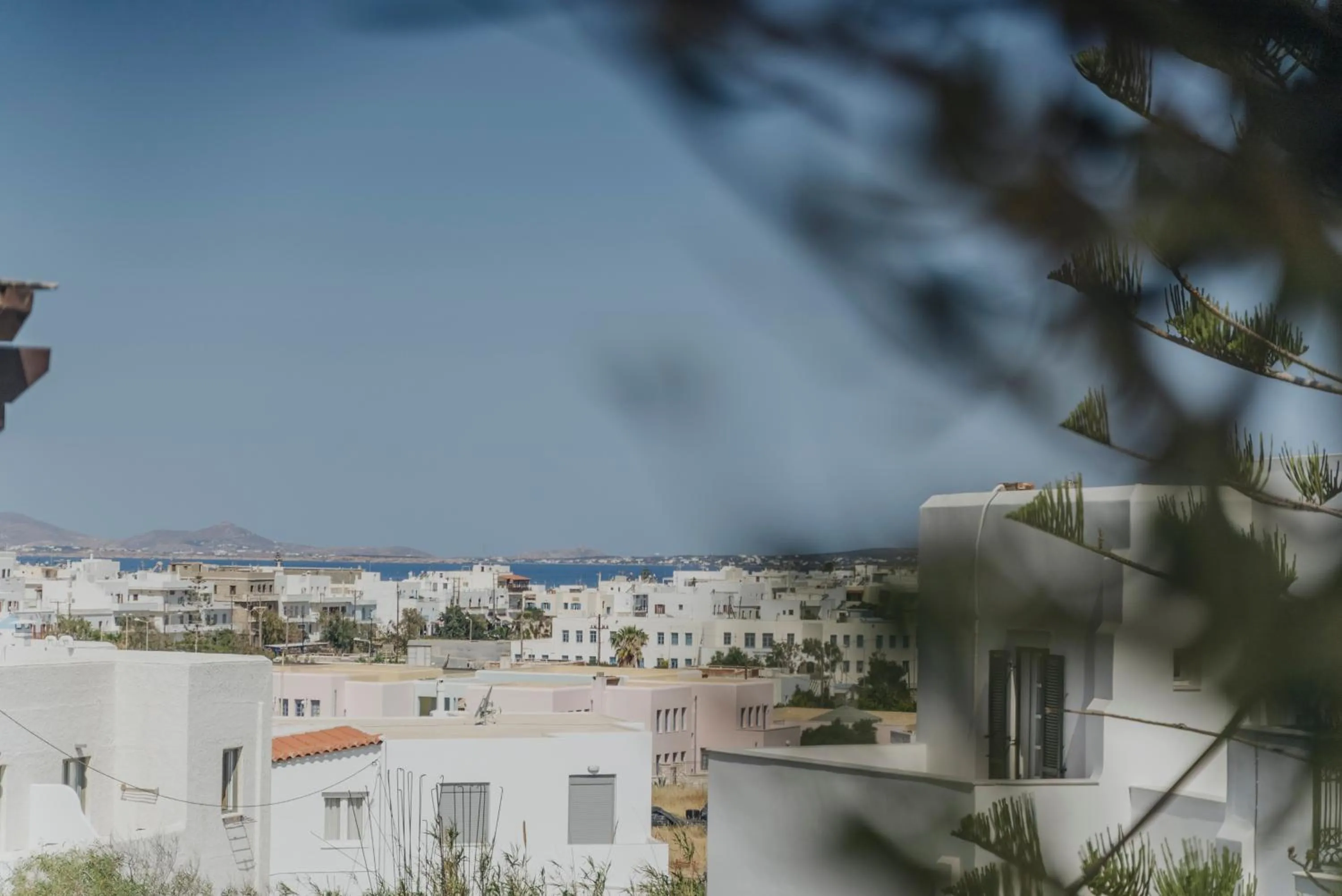 Property building in Golden Bird's