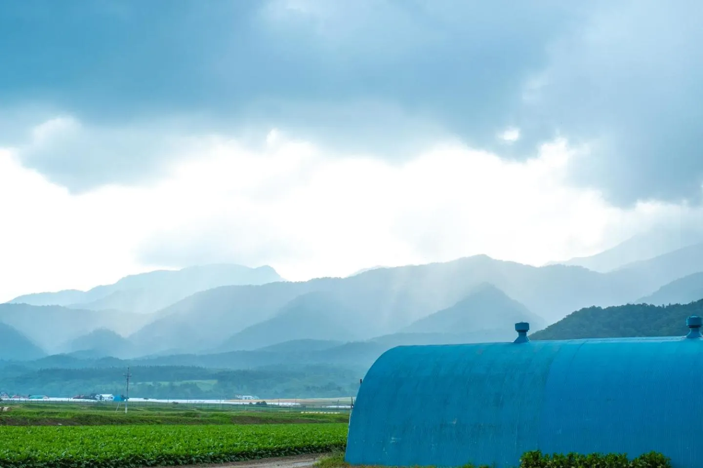 Natural landscape in Furano Log House Farm Resort