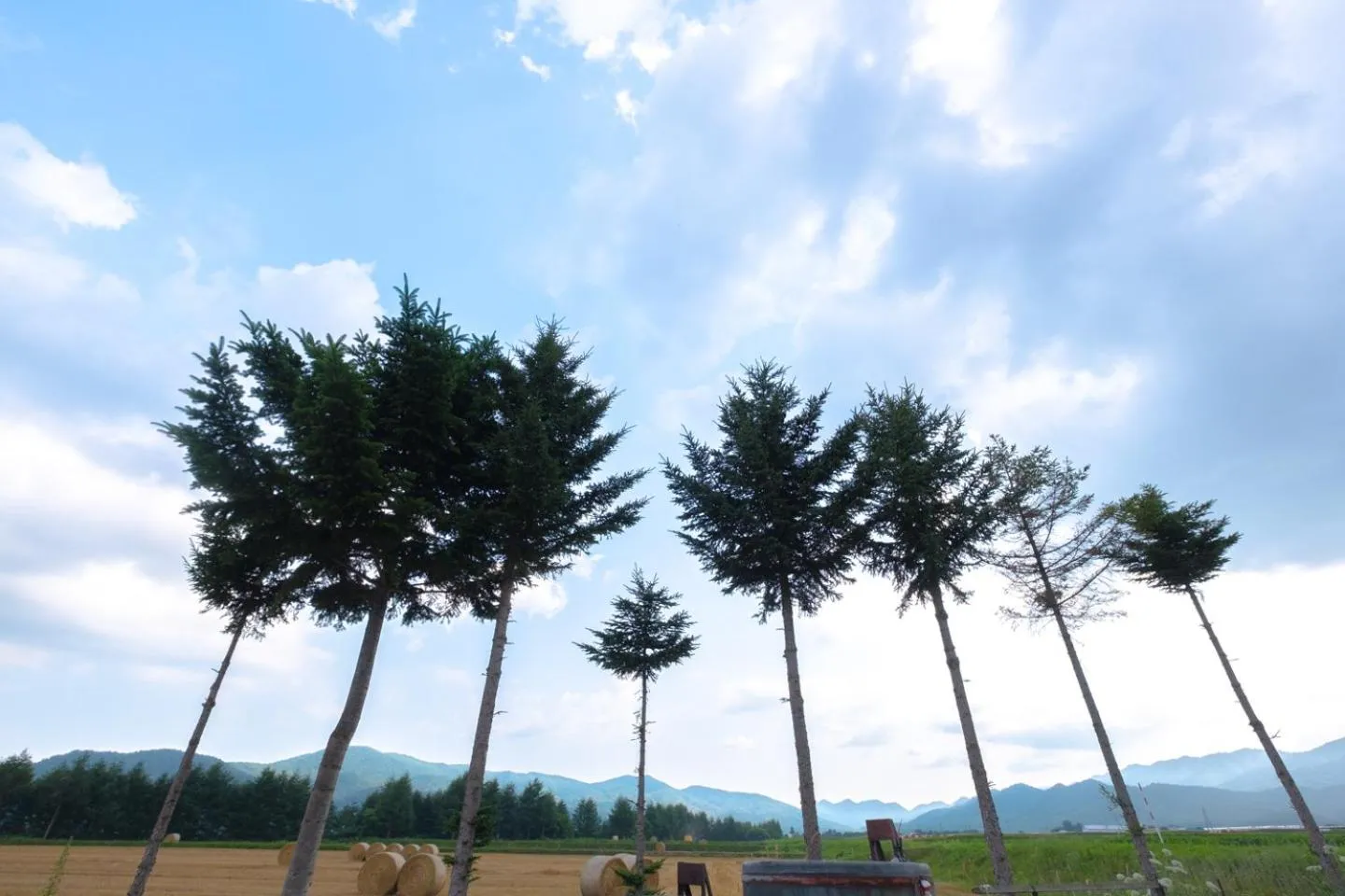 Natural landscape in Furano Log House Farm Resort