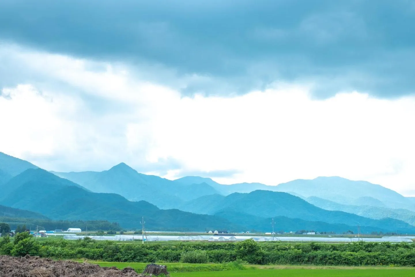 Natural landscape in Furano Log House Farm Resort