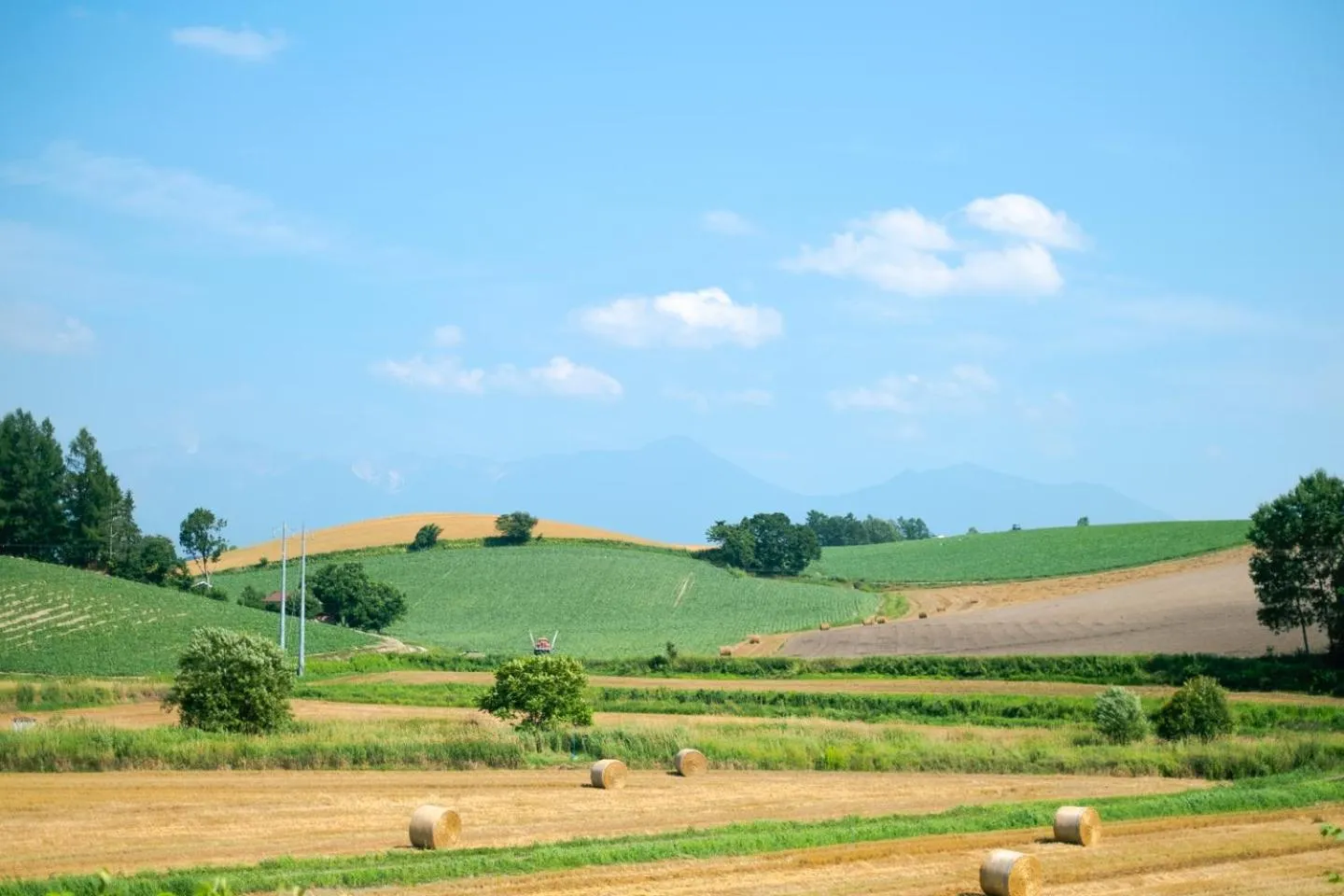 Natural landscape in Furano Log House Farm Resort