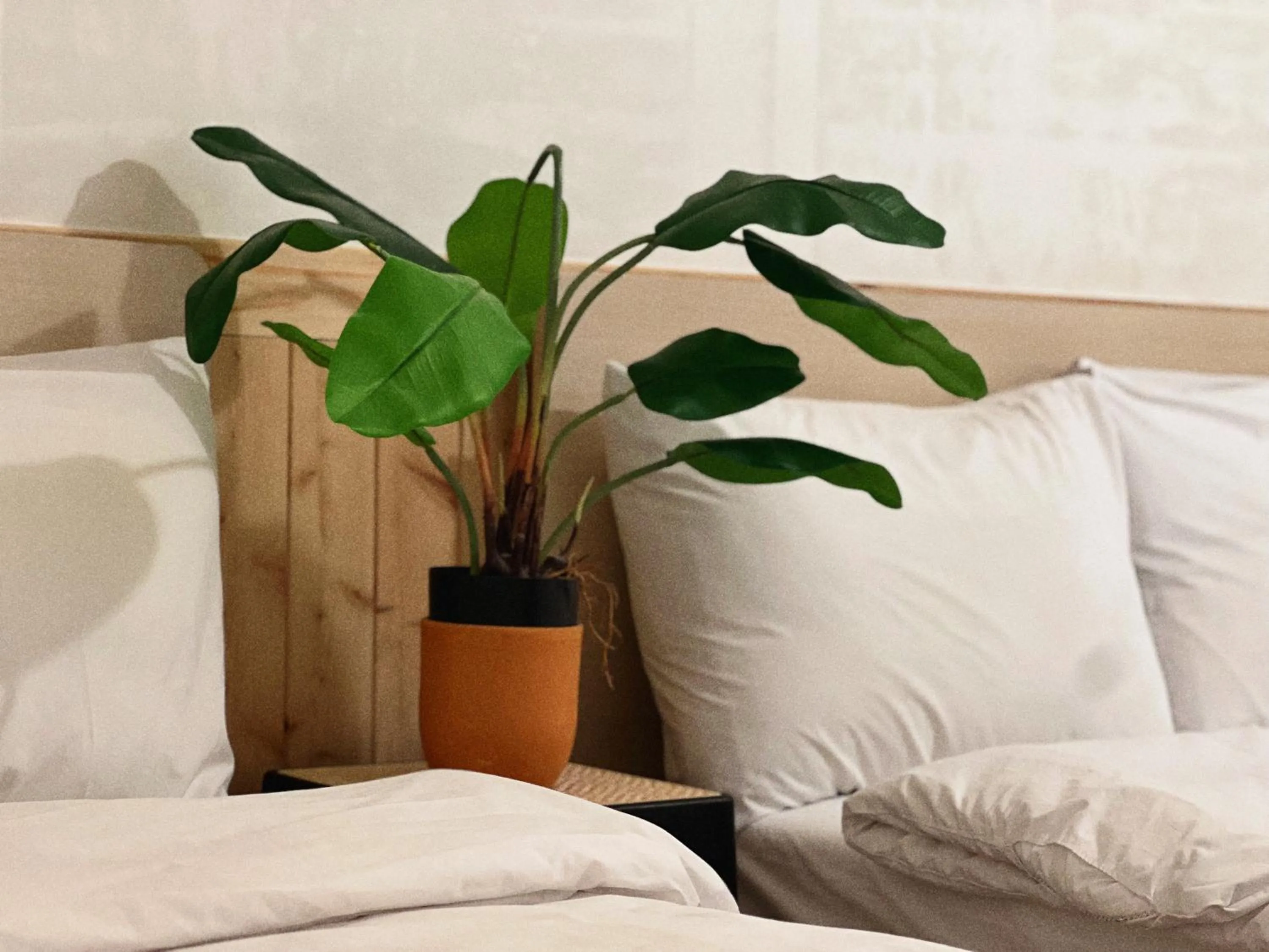 Bed in Jnineguesthouse