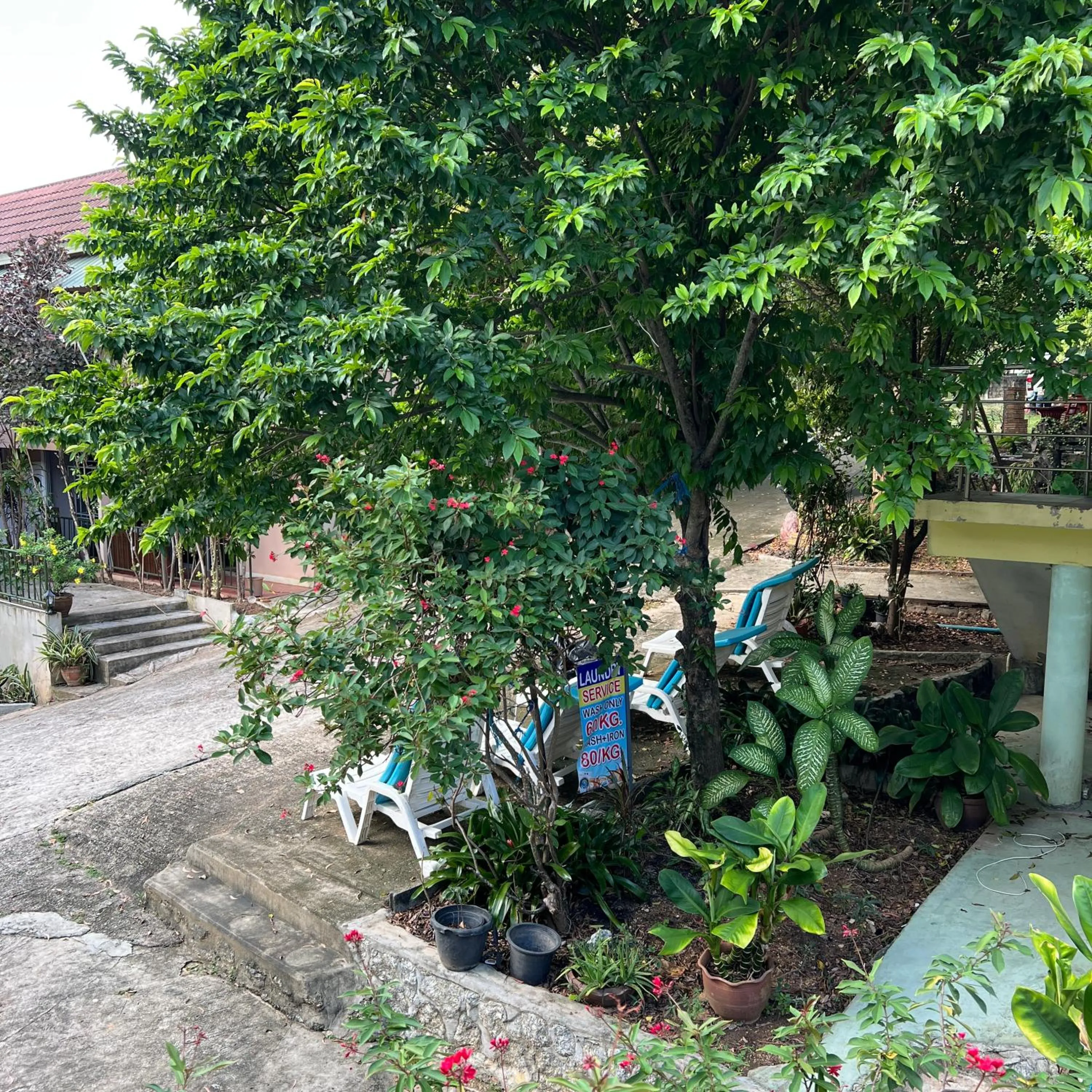 Garden in Kata Villa Merit Hill Bungalows