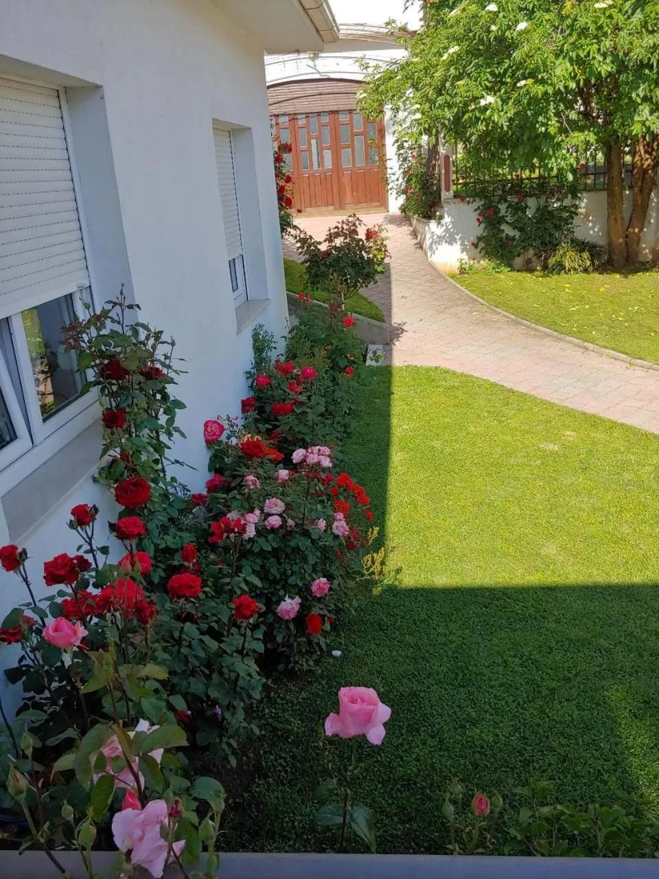 Garden in Apartments Tulipan - with free private parking garage