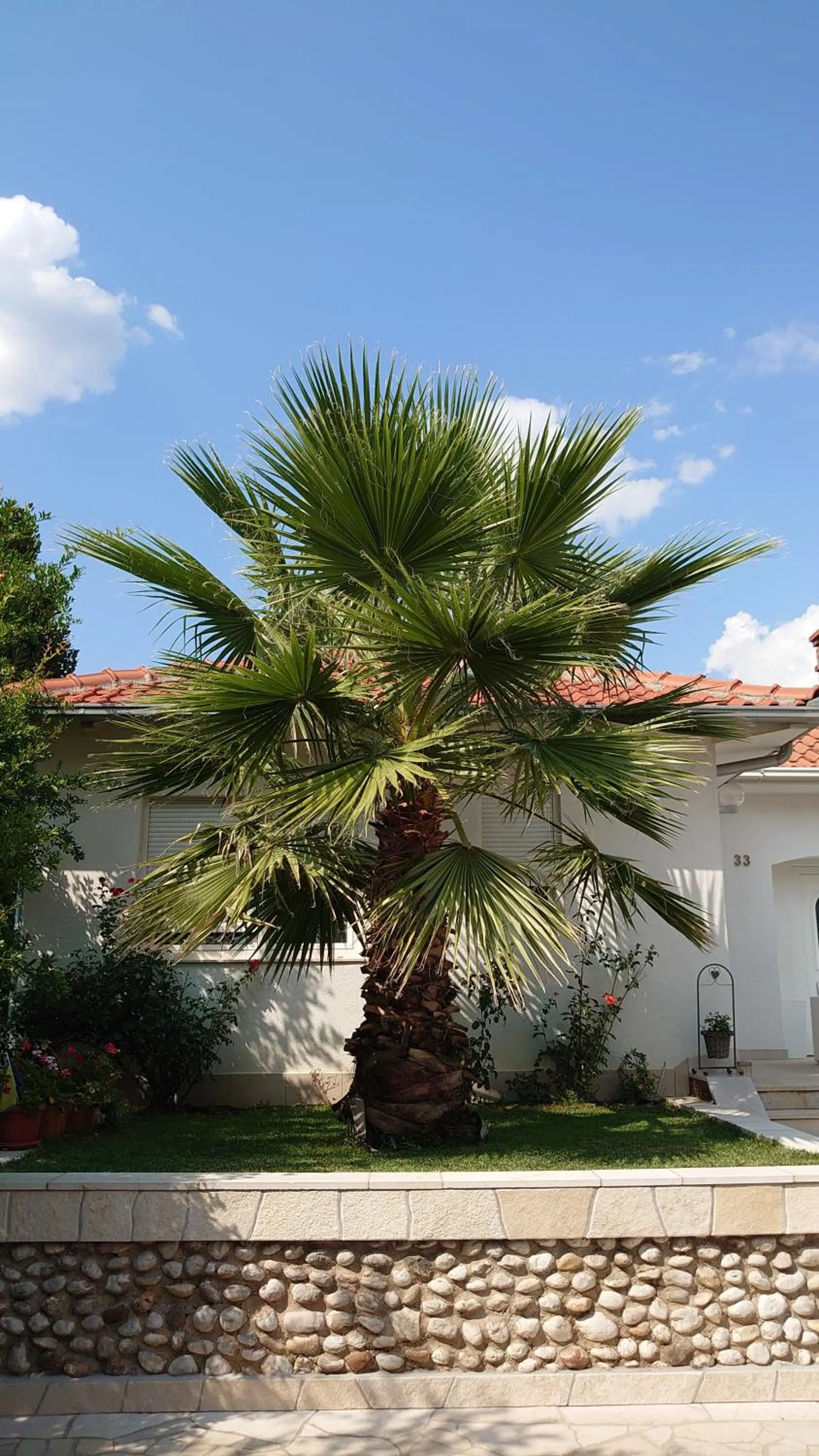 Property building in Apartments Tulipan - with free private parking garage