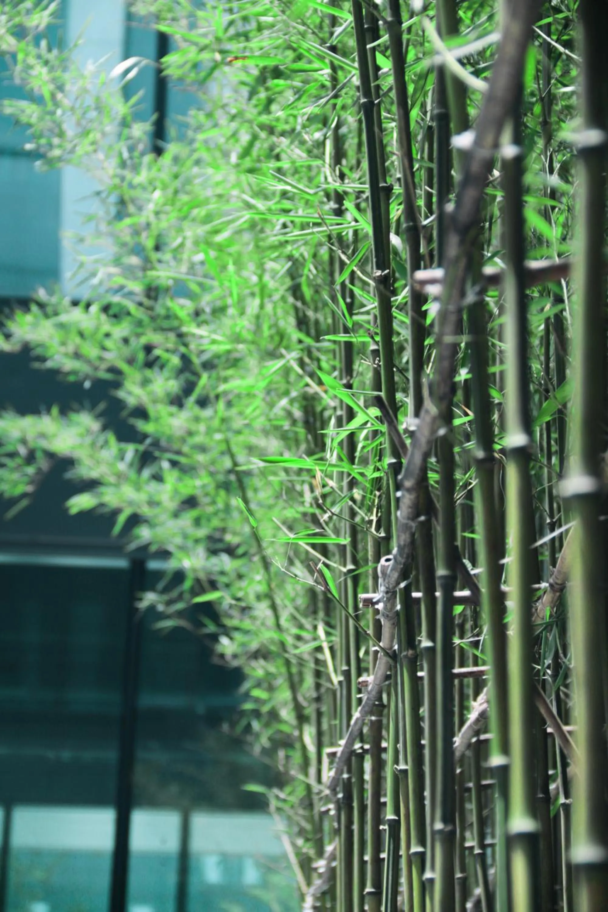 Property building in EVEN Hotels Shanghai Expo by IHG