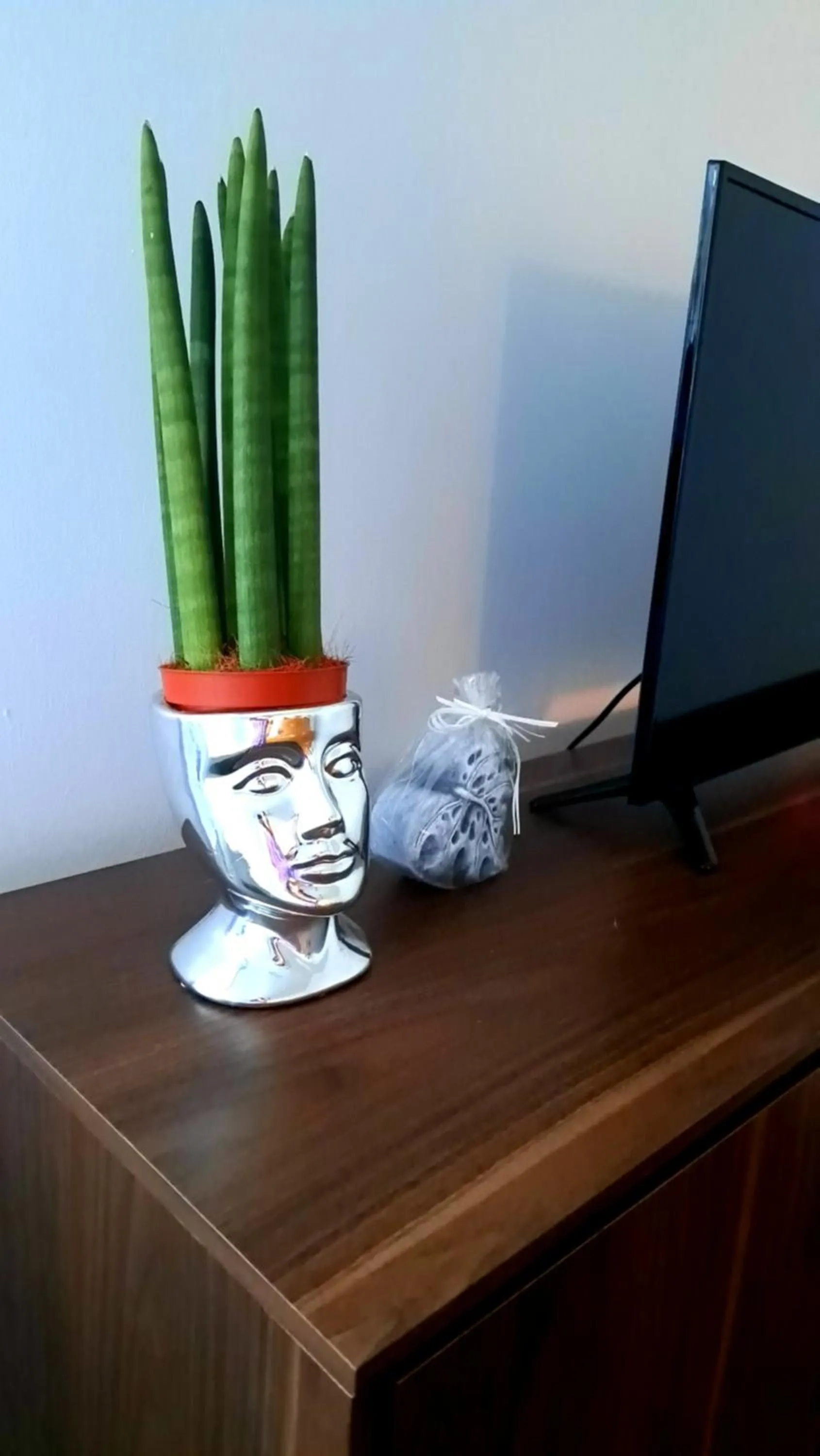 TV and multimedia in TK Apartamenty I Pokoje