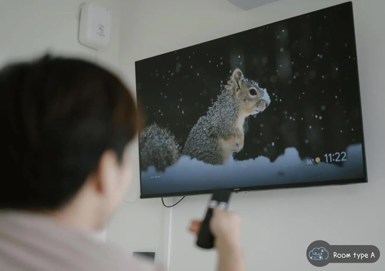 TV and multimedia in Scene Private hostel