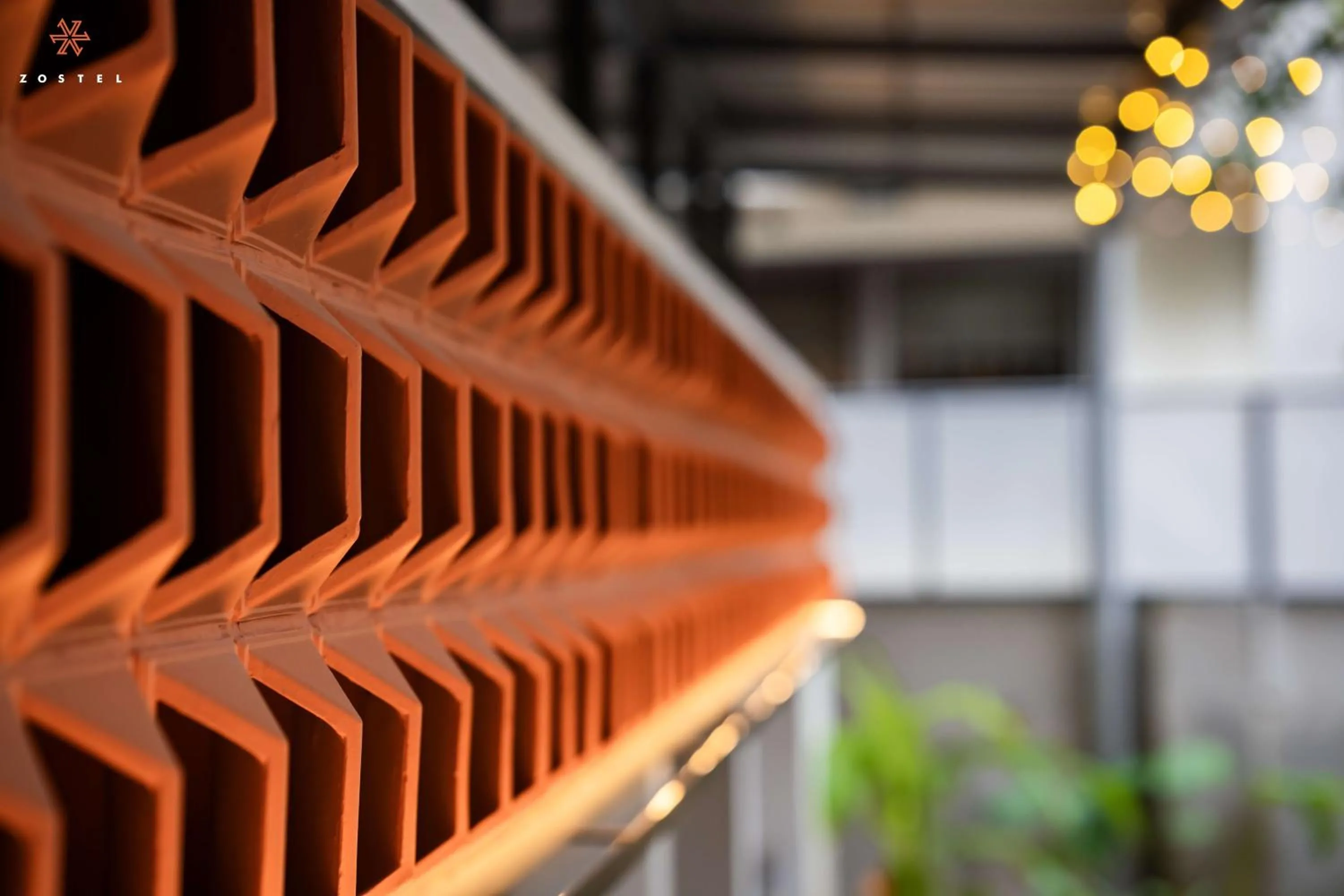 Day in Zostel Kochi (Ernakulam)