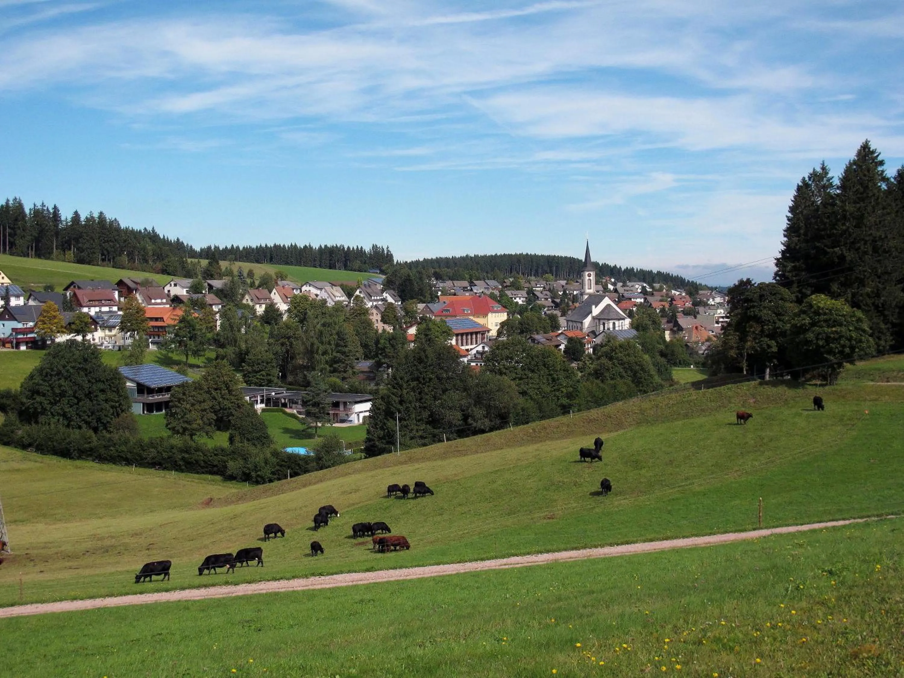 Natural landscape in Landhotel Garni Schweizerhaus