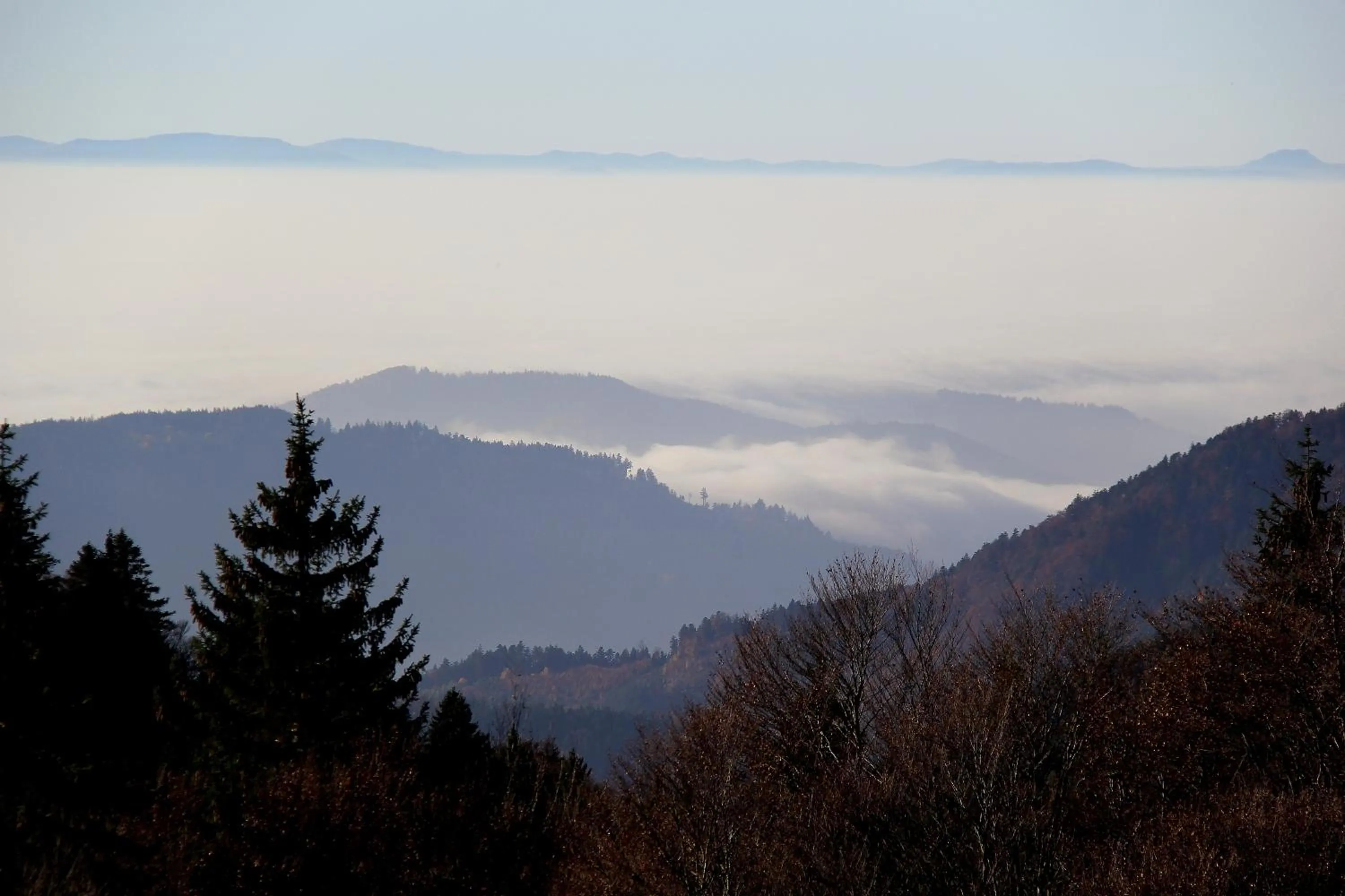 Natural landscape in Landhotel Garni Schweizerhaus