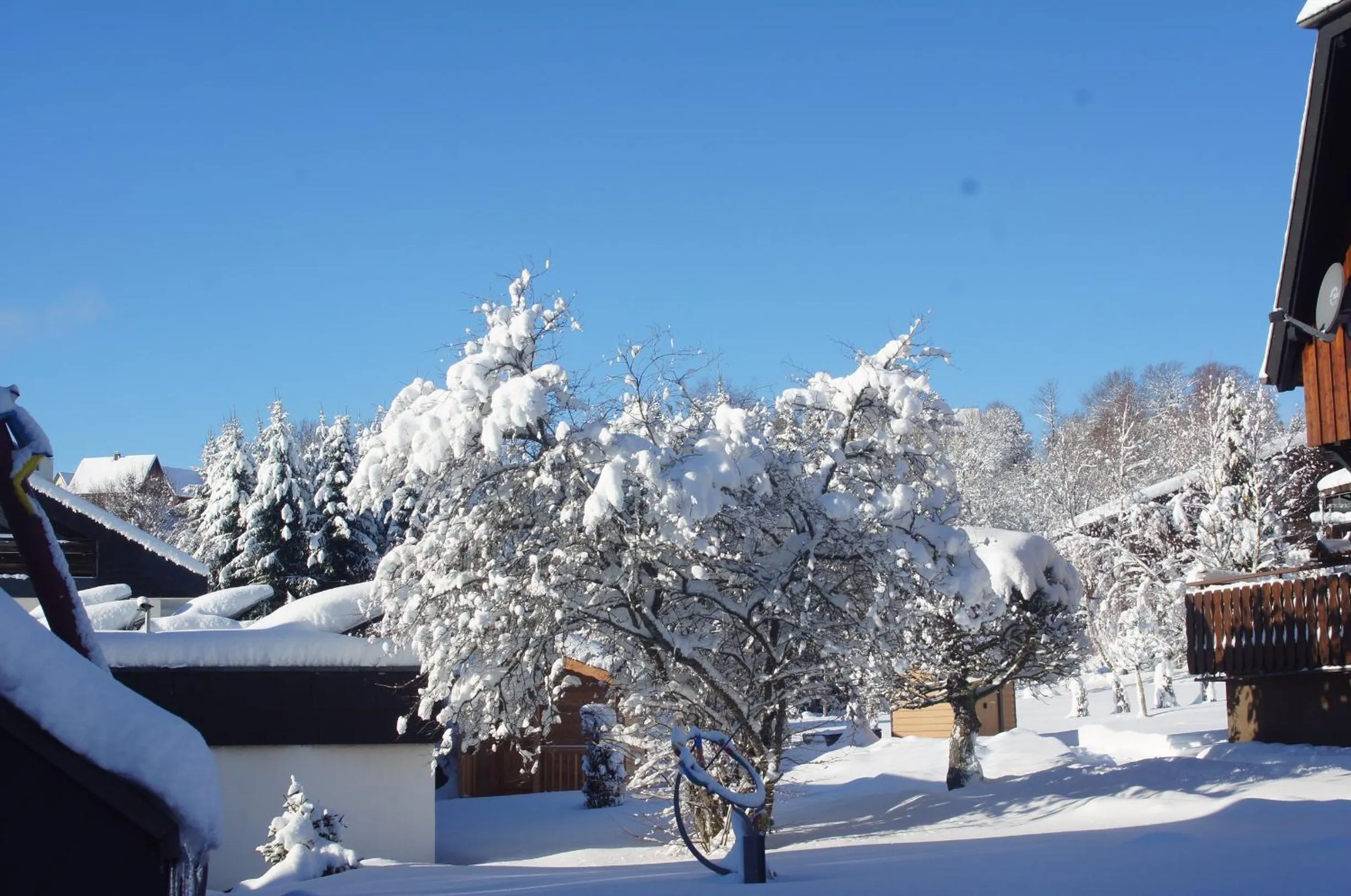 Natural landscape in Landhotel Garni Schweizerhaus