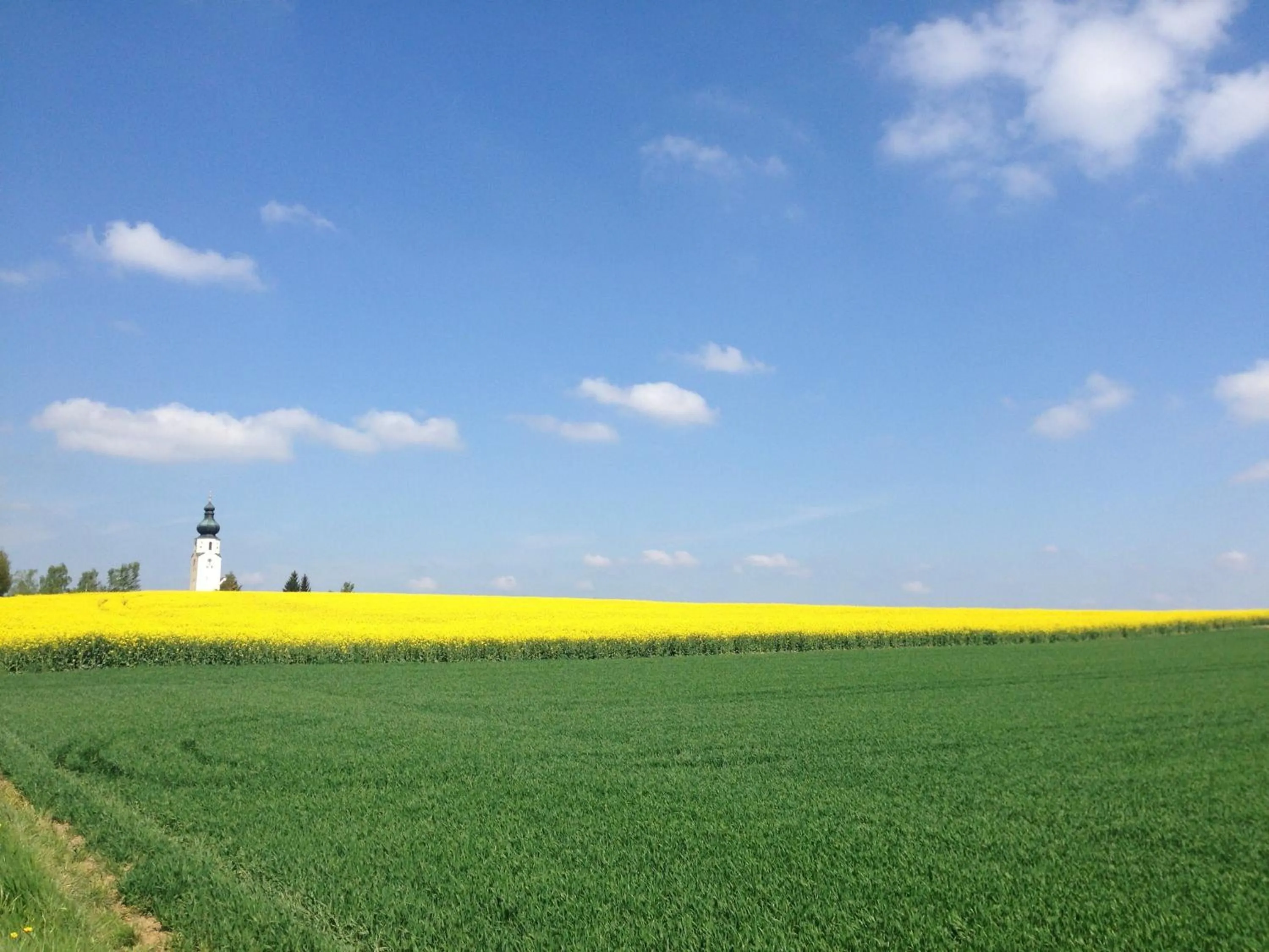 Bird's eye view in Hotel am Marktplatz