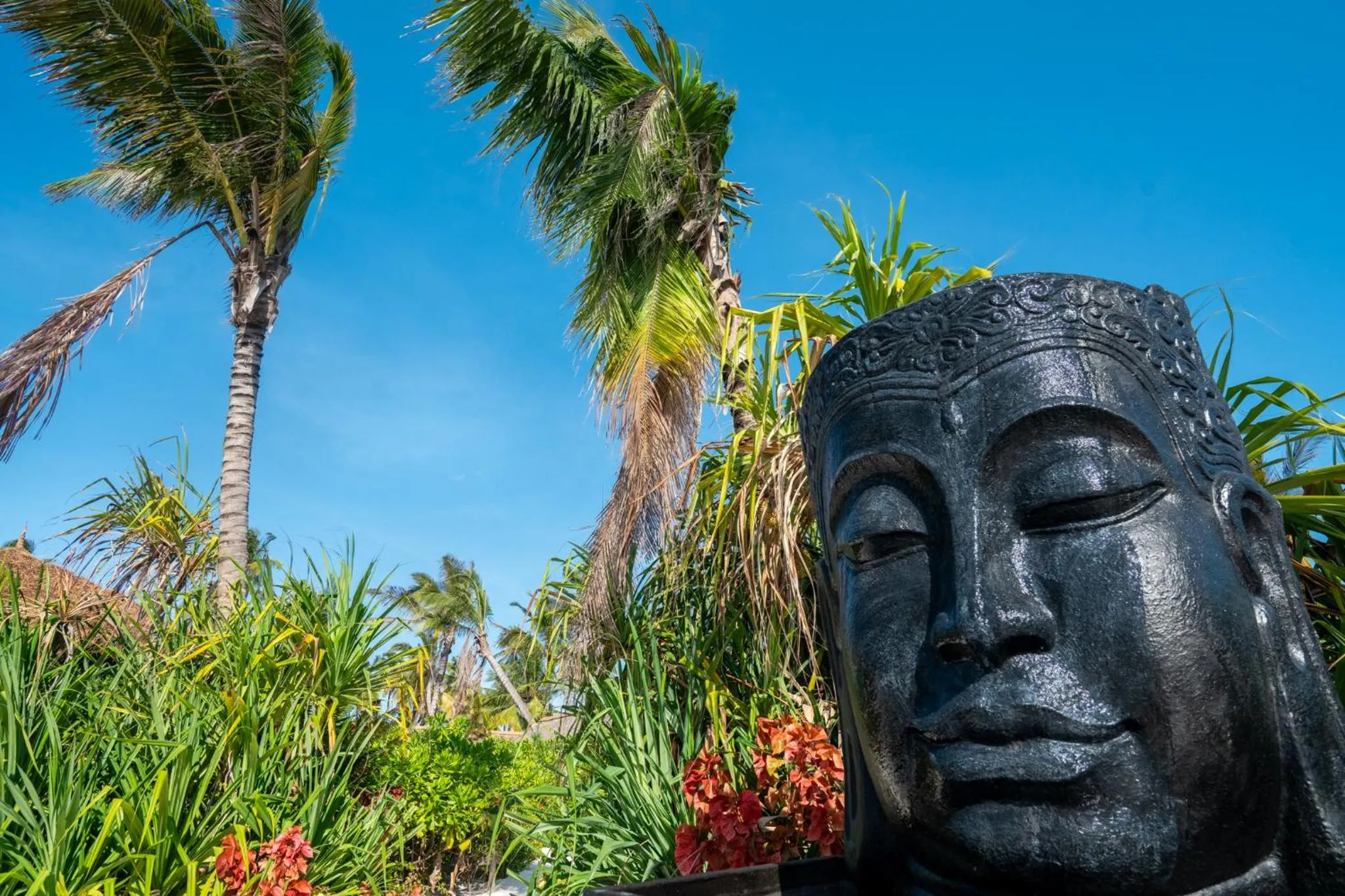 Natural landscape in Sensations Eco-Chic Hotel