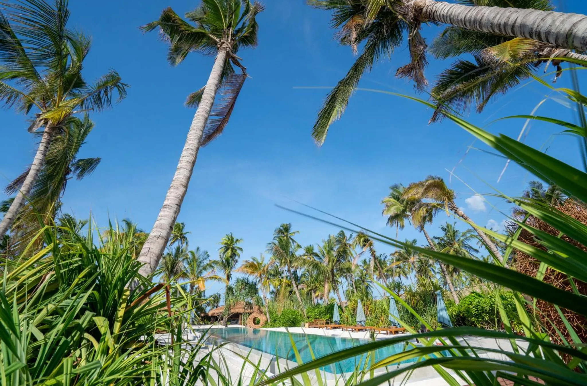 Natural landscape in Sensations Eco-Chic Hotel