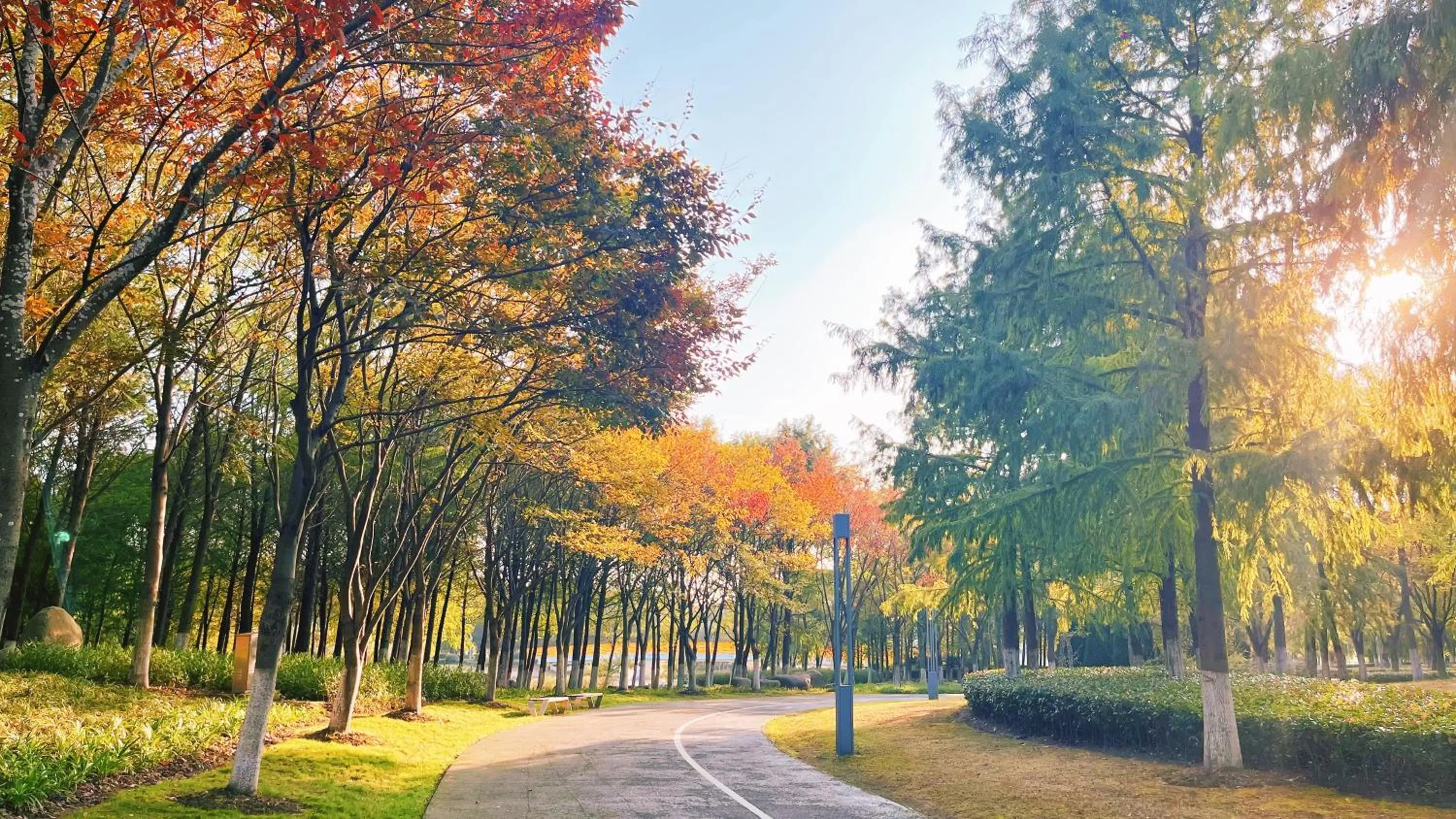 Other in Radisson Collection Lingang Shanghai