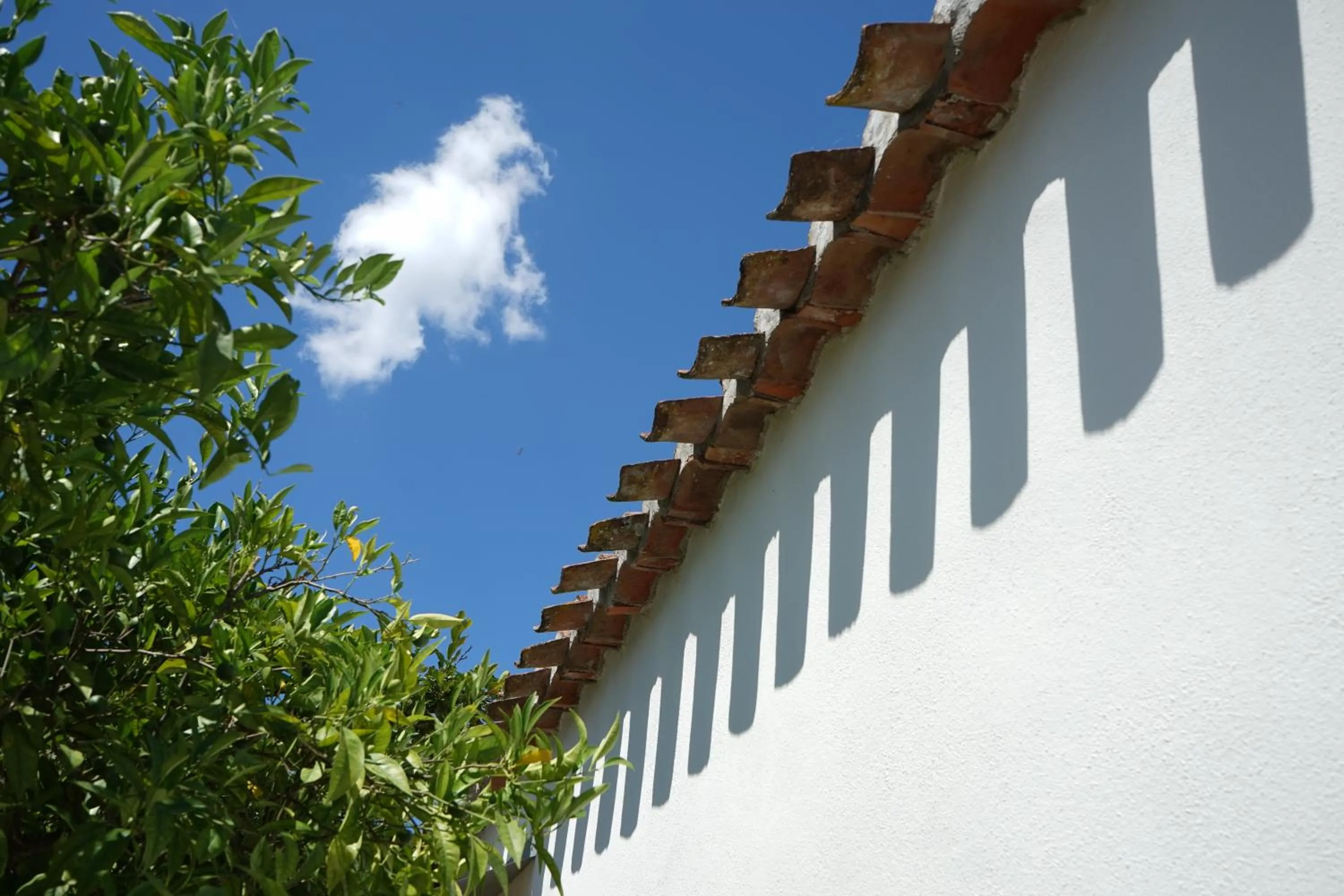 Property building in B&B Catedda