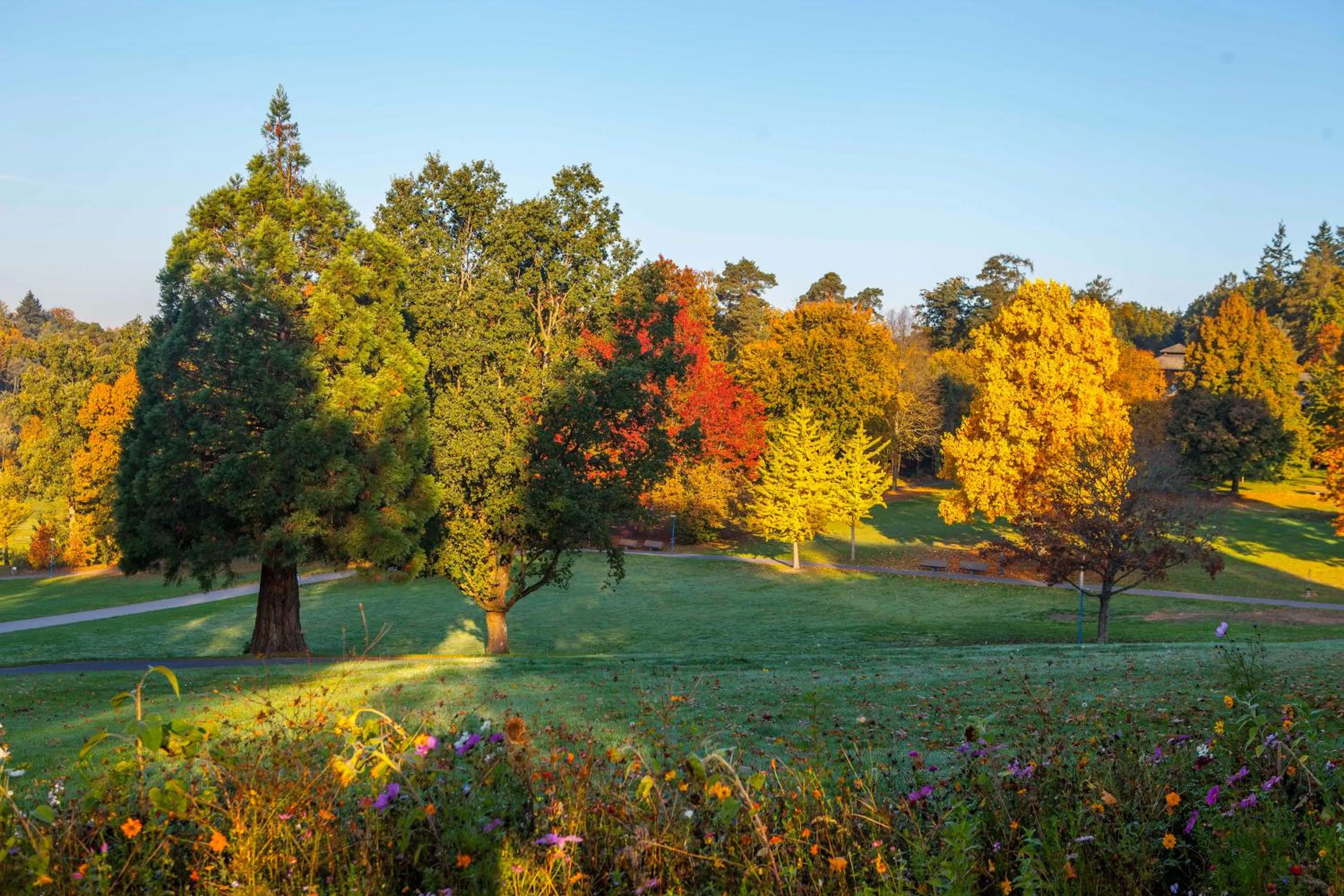 Natural landscape in Schwitzer's Hotel am Park