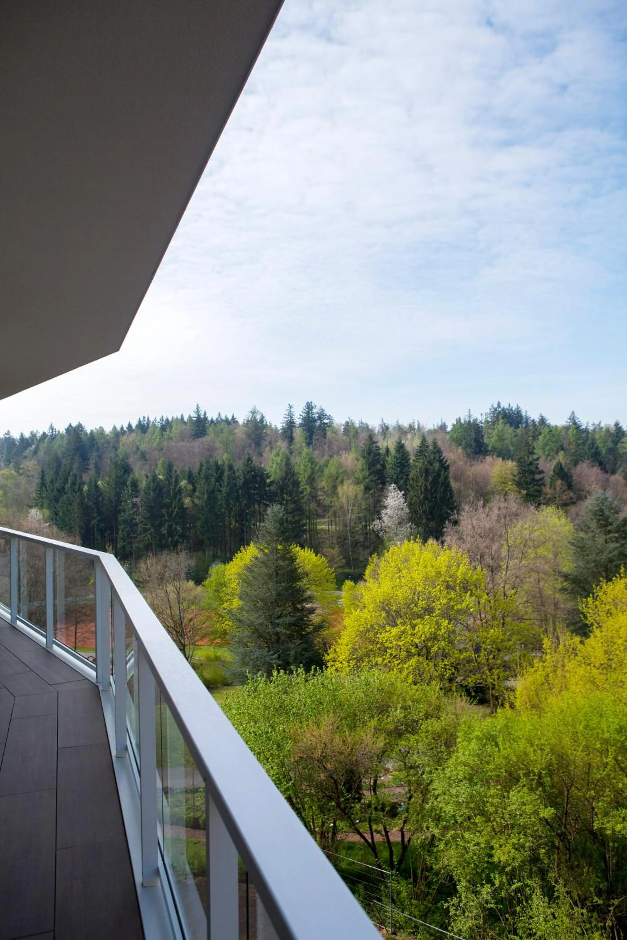 Natural landscape in Schwitzer's Hotel am Park