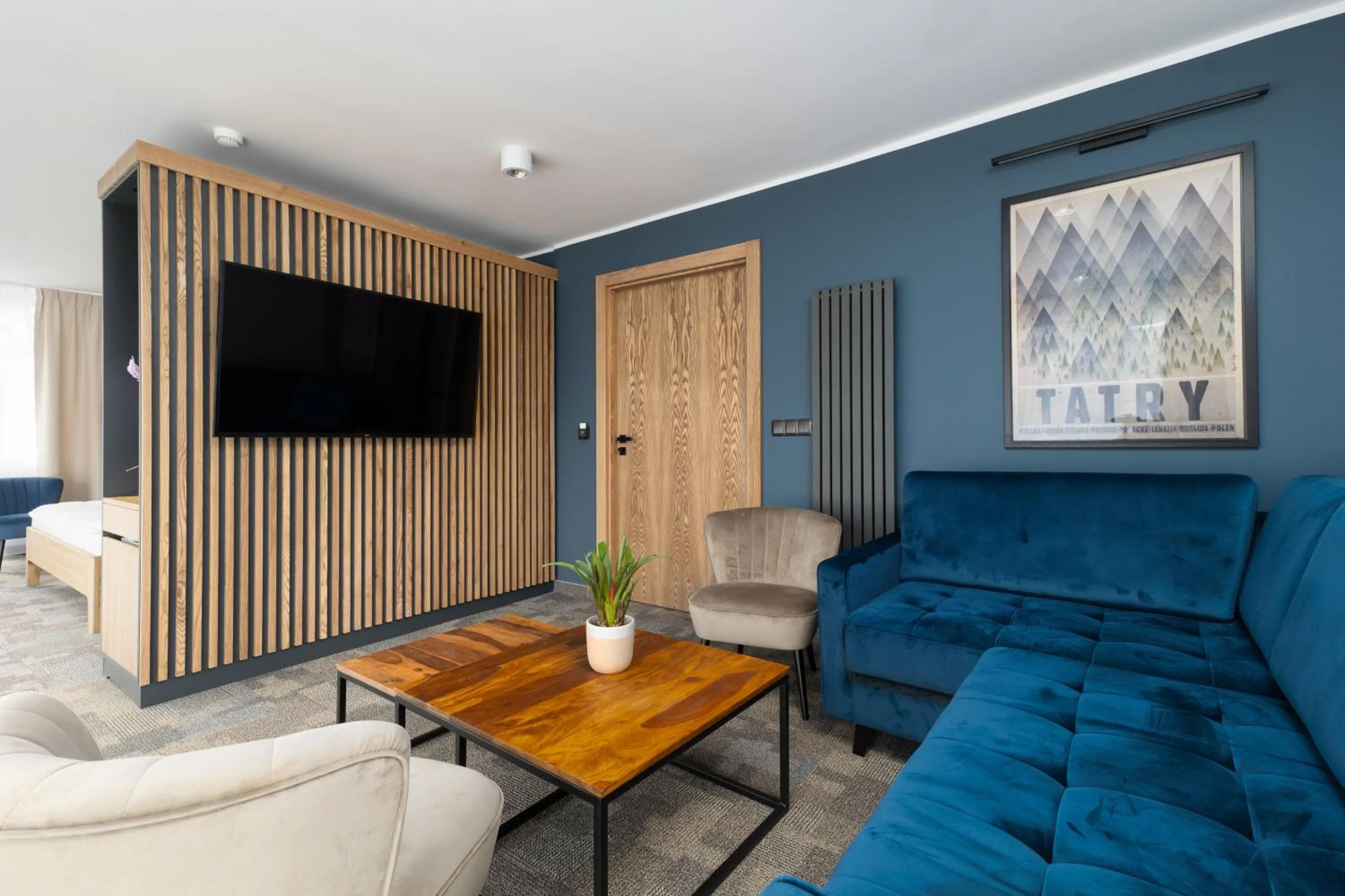 TV and multimedia in Hotel Rzemieślnik Zakopane