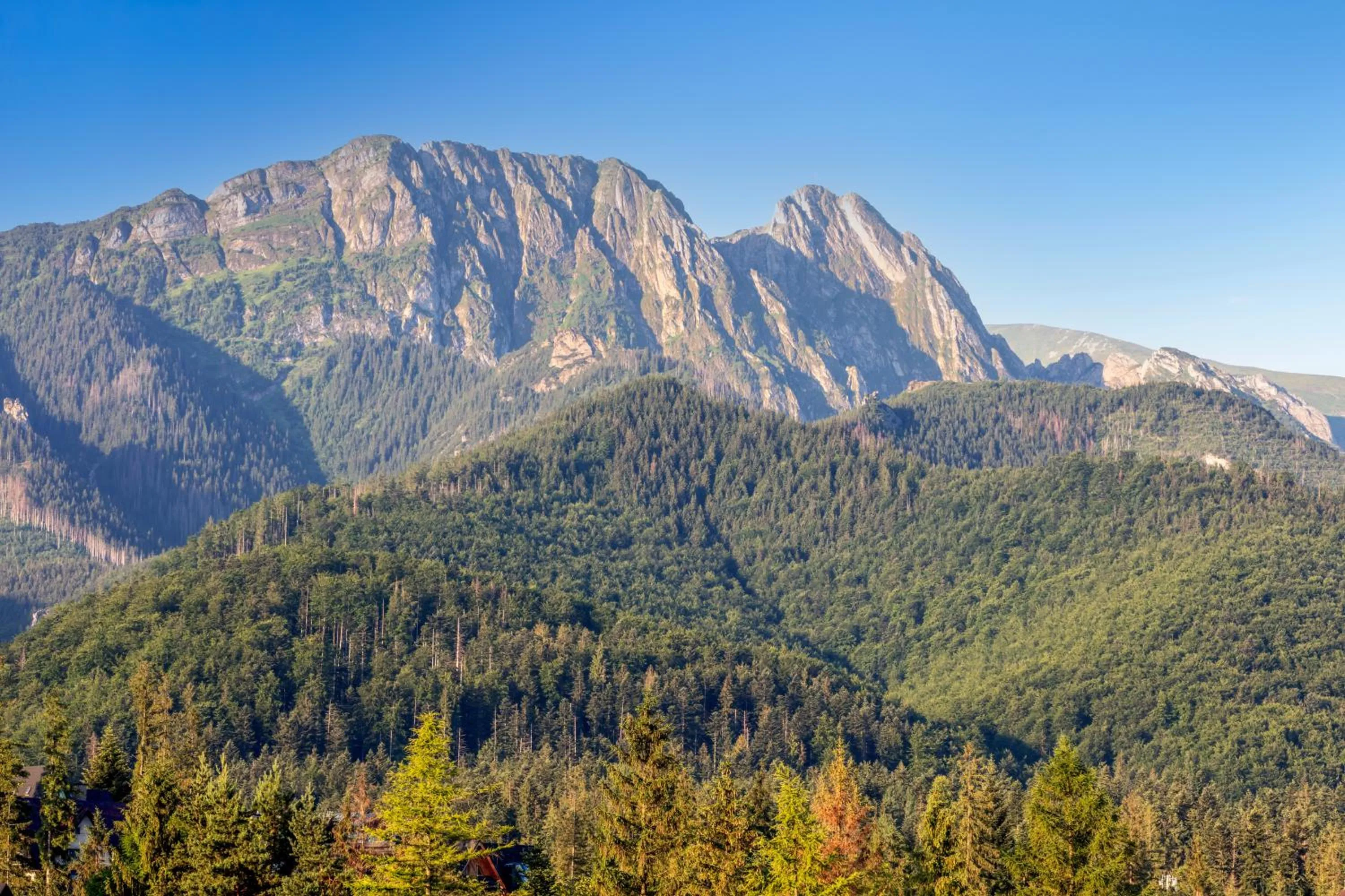Mountain view in Hotel Rzemieślnik Zakopane