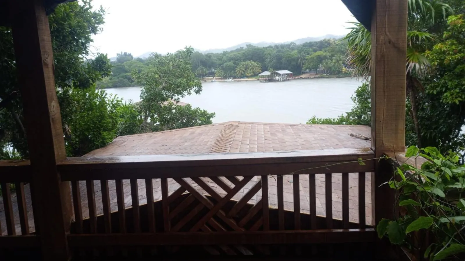 View (from property/room) in Hotel Posada Las Orquídeas,West End