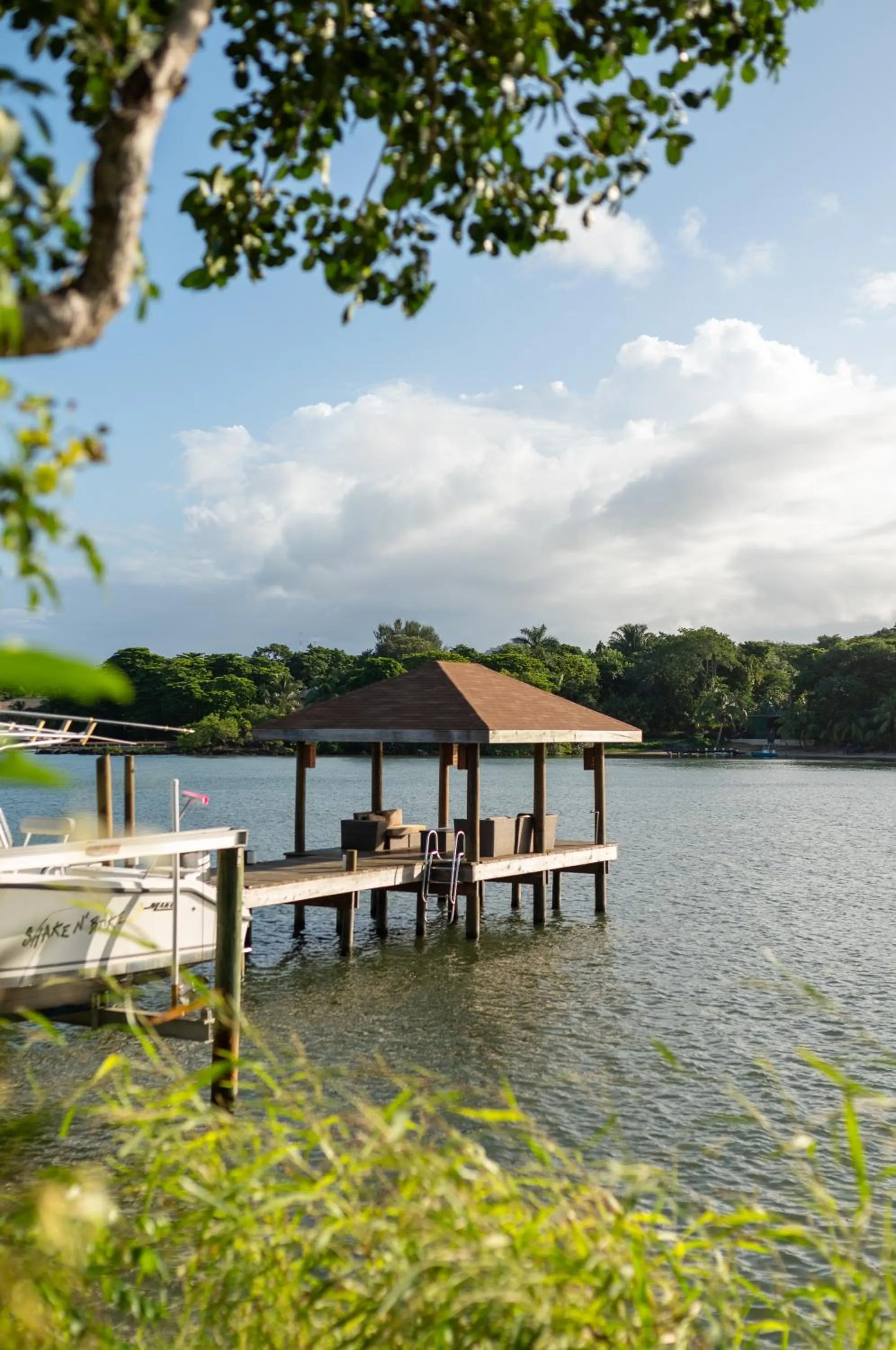 View (from property/room) in Hotel Posada Las Orquídeas,West End