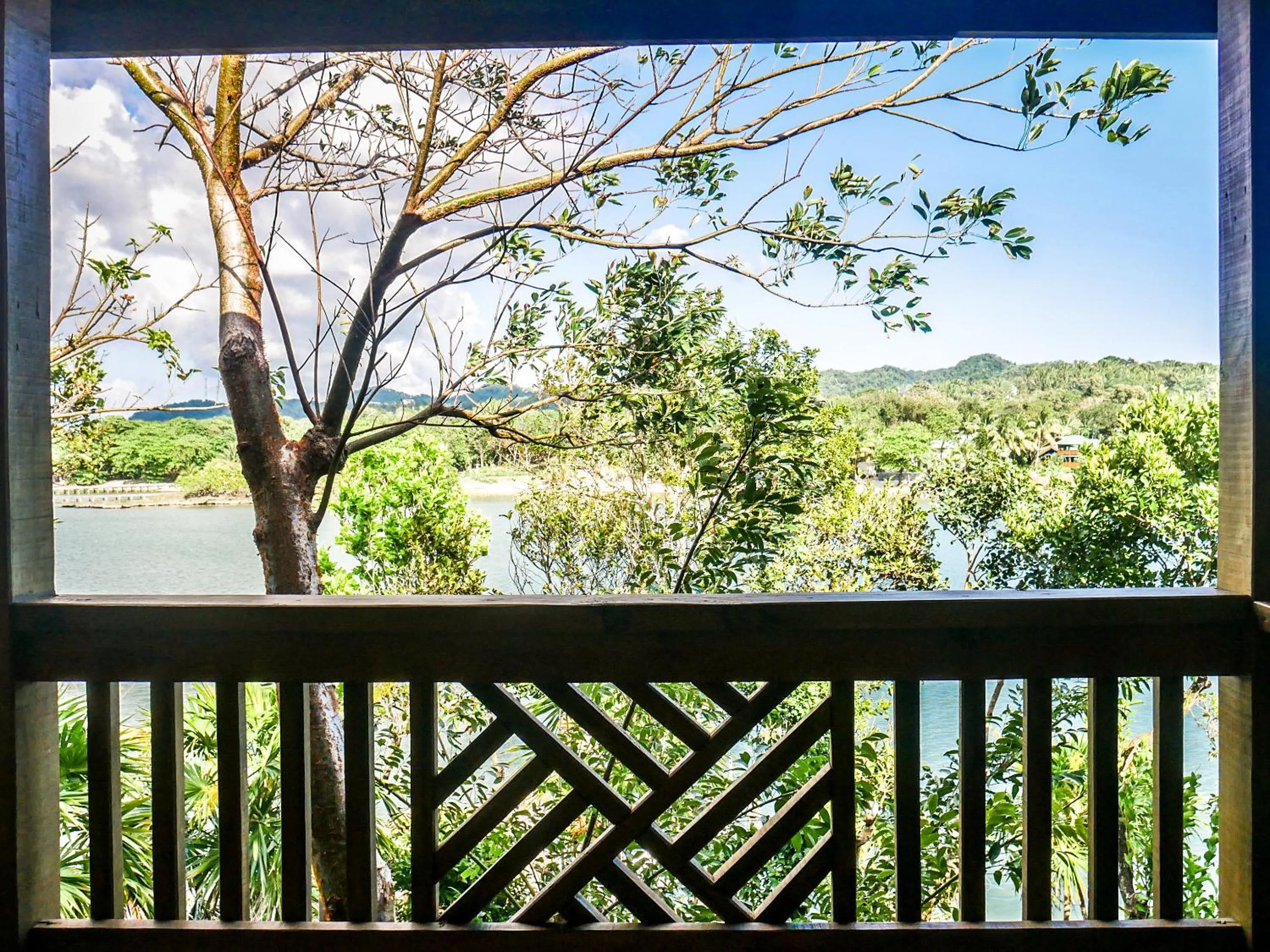 Natural landscape in Hotel Posada Las Orquídeas,West End