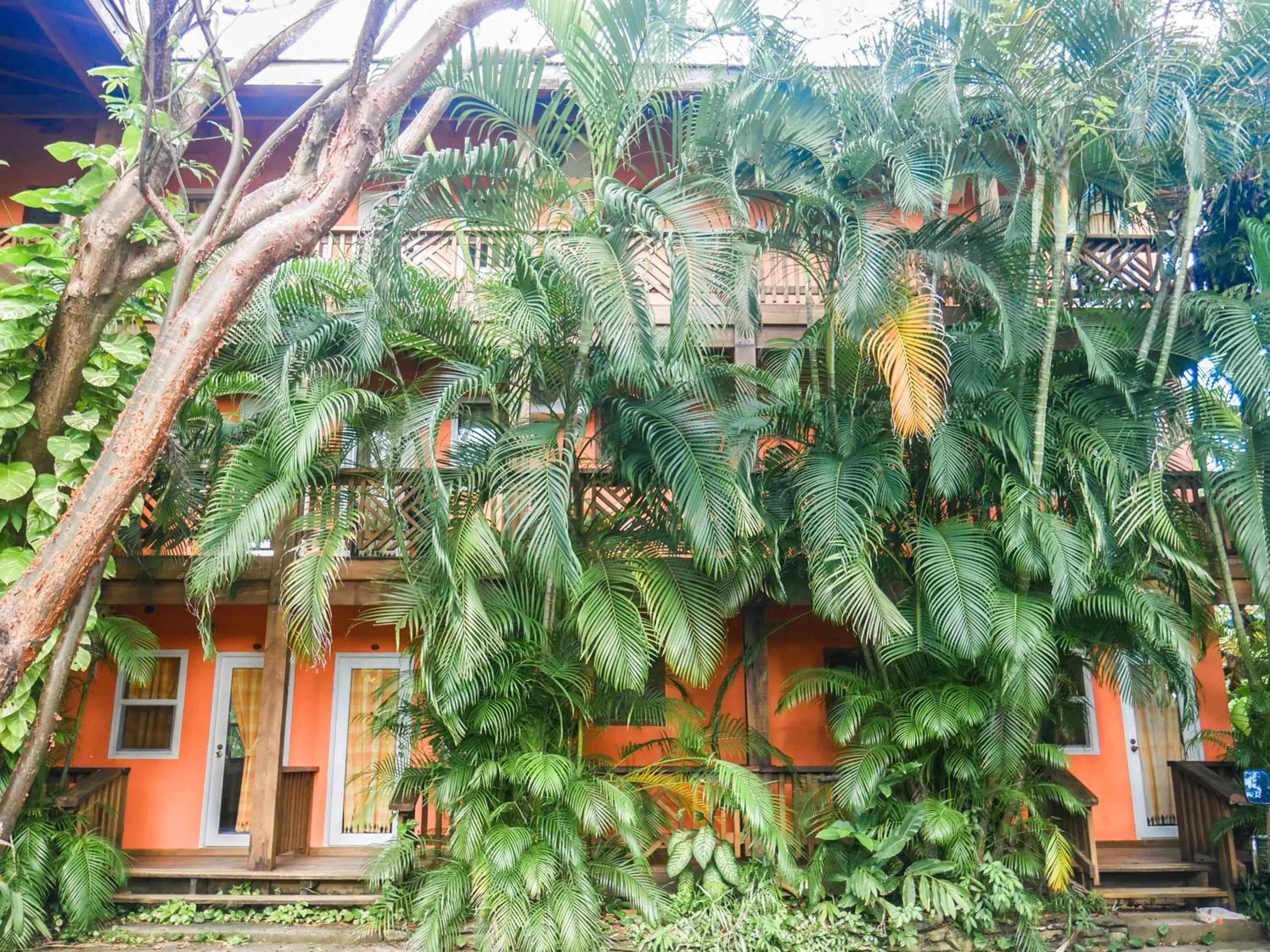Property building in Hotel Posada Las Orquídeas,West End
