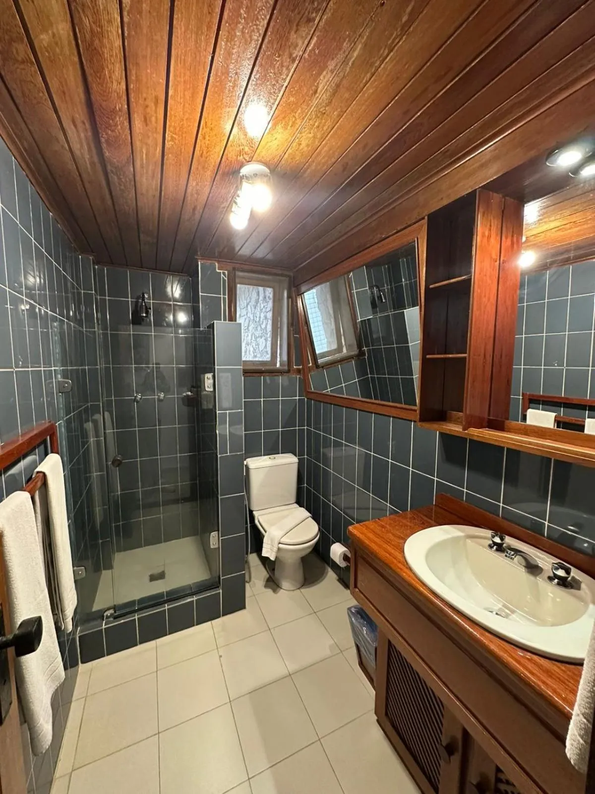 Shower in Hotel Du Lac Macaé