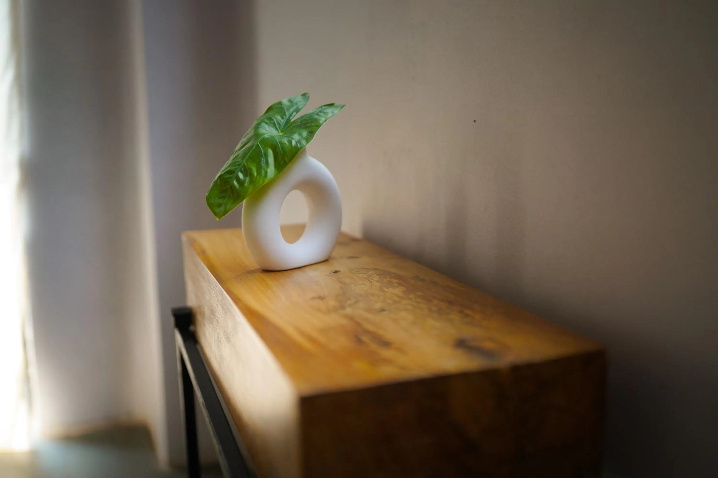 Decorative detail in SoultoSoul Guesthouse