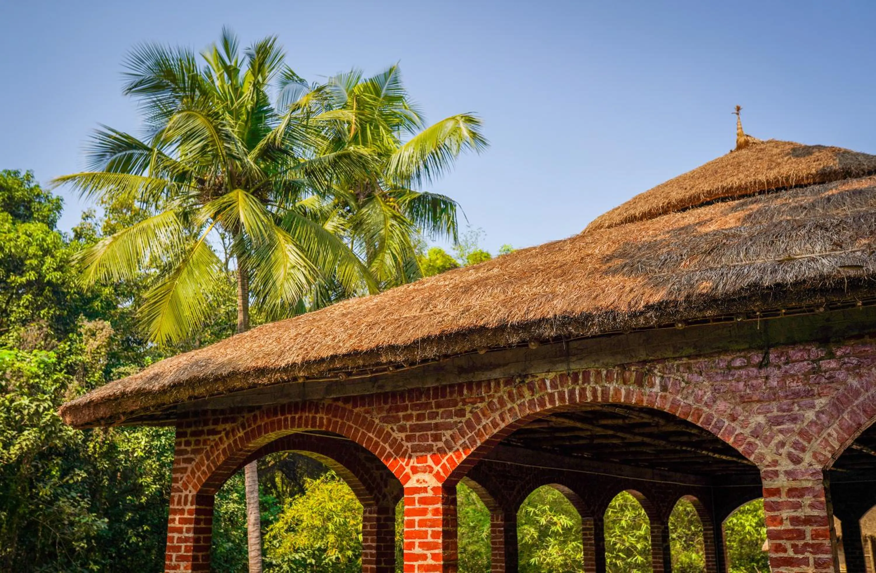 Garden in SoultoSoul Guesthouse