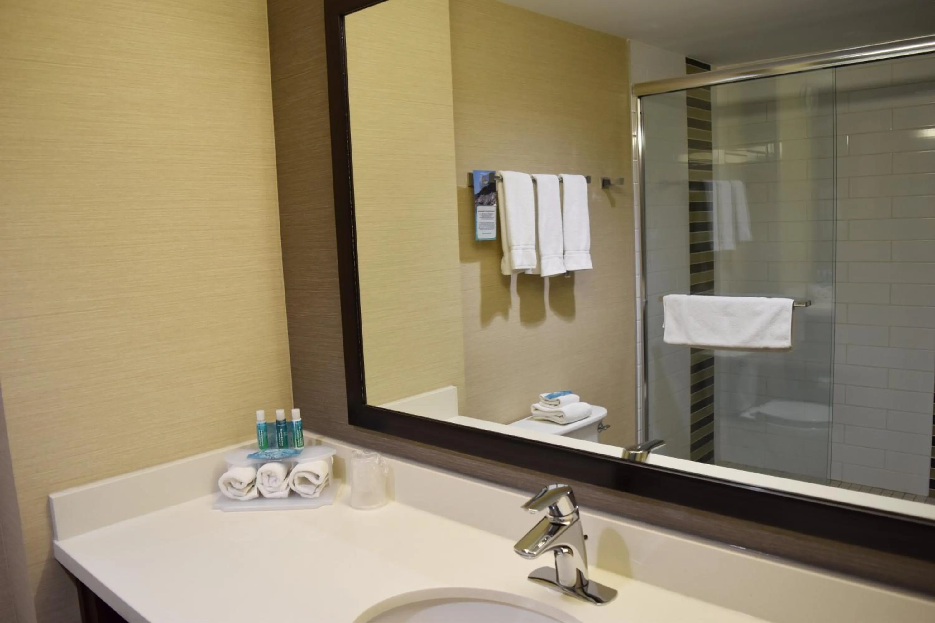 Bathroom in Holiday Inn Express Golden-Kicking Horse by IHG